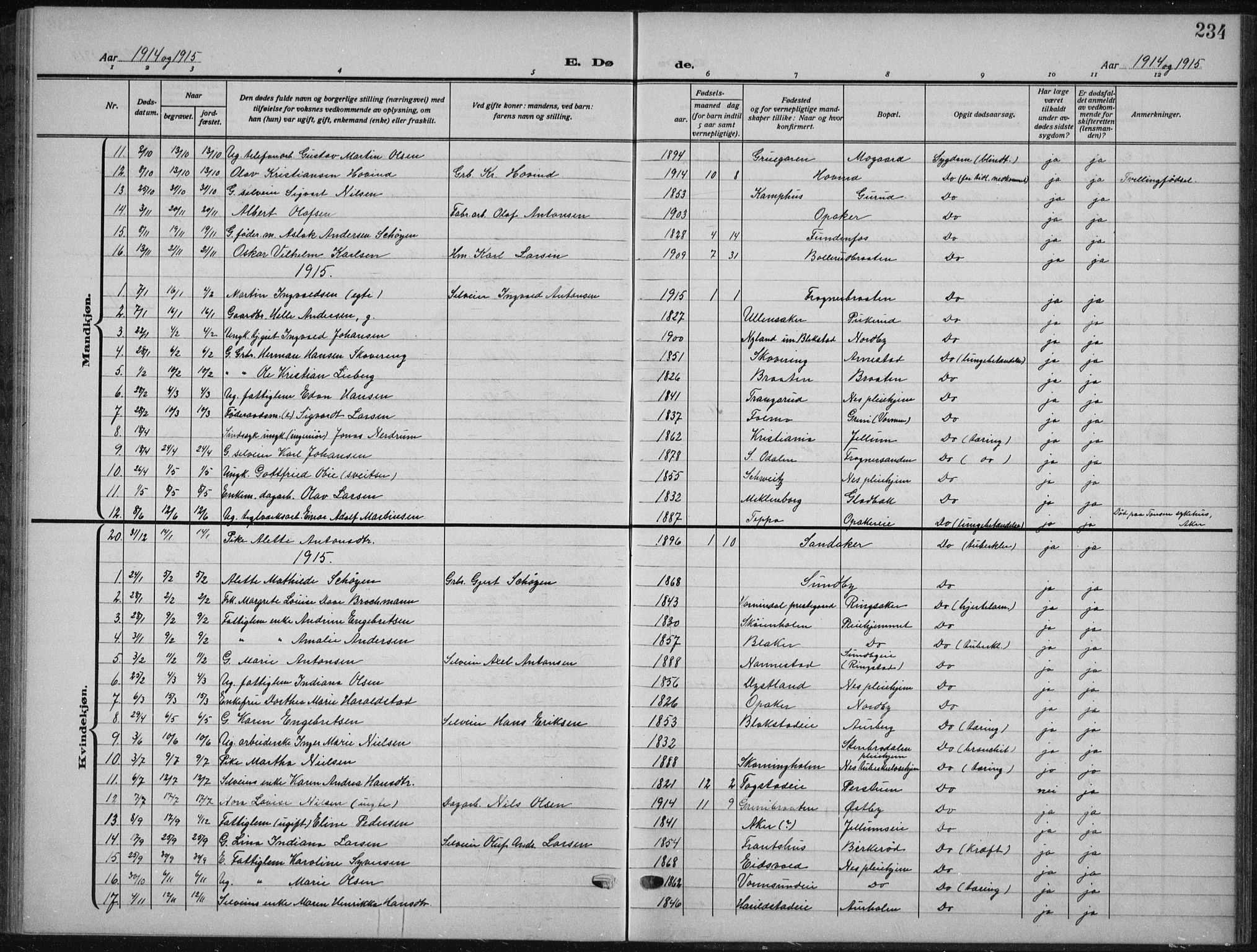 Nes prestekontor Kirkebøker, SAO/A-10410/G/Ga/L0003: Parish register (copy) no. I 3, 1913-1941, p. 234