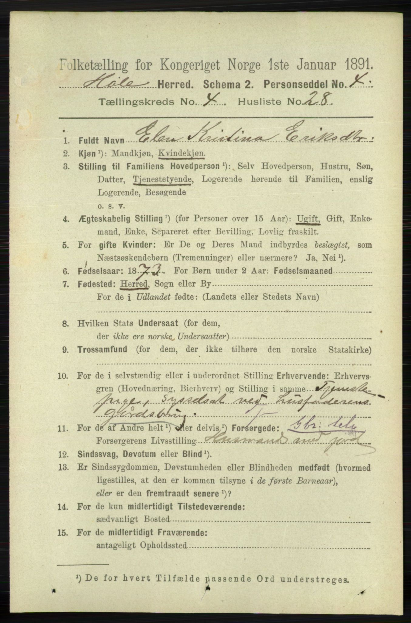 RA, 1891 census for 1128 Høle, 1891, p. 1009