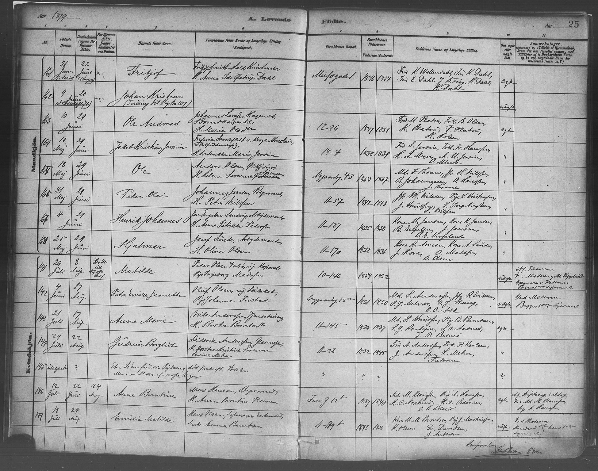 Domkirken sokneprestembete, SAB/A-74801/H/Haa/L0023: Parish register (official) no. B 6, 1879-1887, p. 25