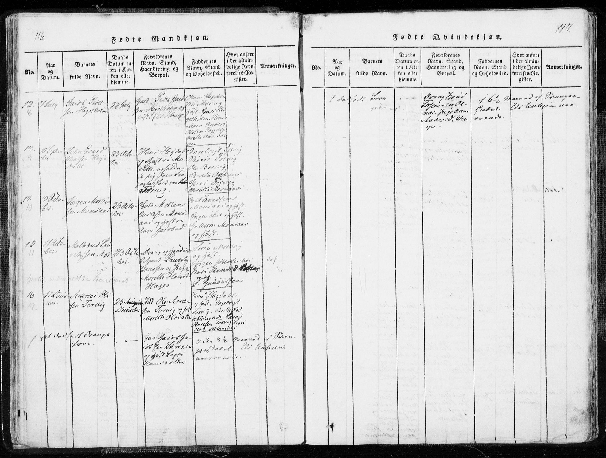 Ministerialprotokoller, klokkerbøker og fødselsregistre - Møre og Romsdal, SAT/A-1454/544/L0571: Parish register (official) no. 544A04, 1818-1853, p. 116-117