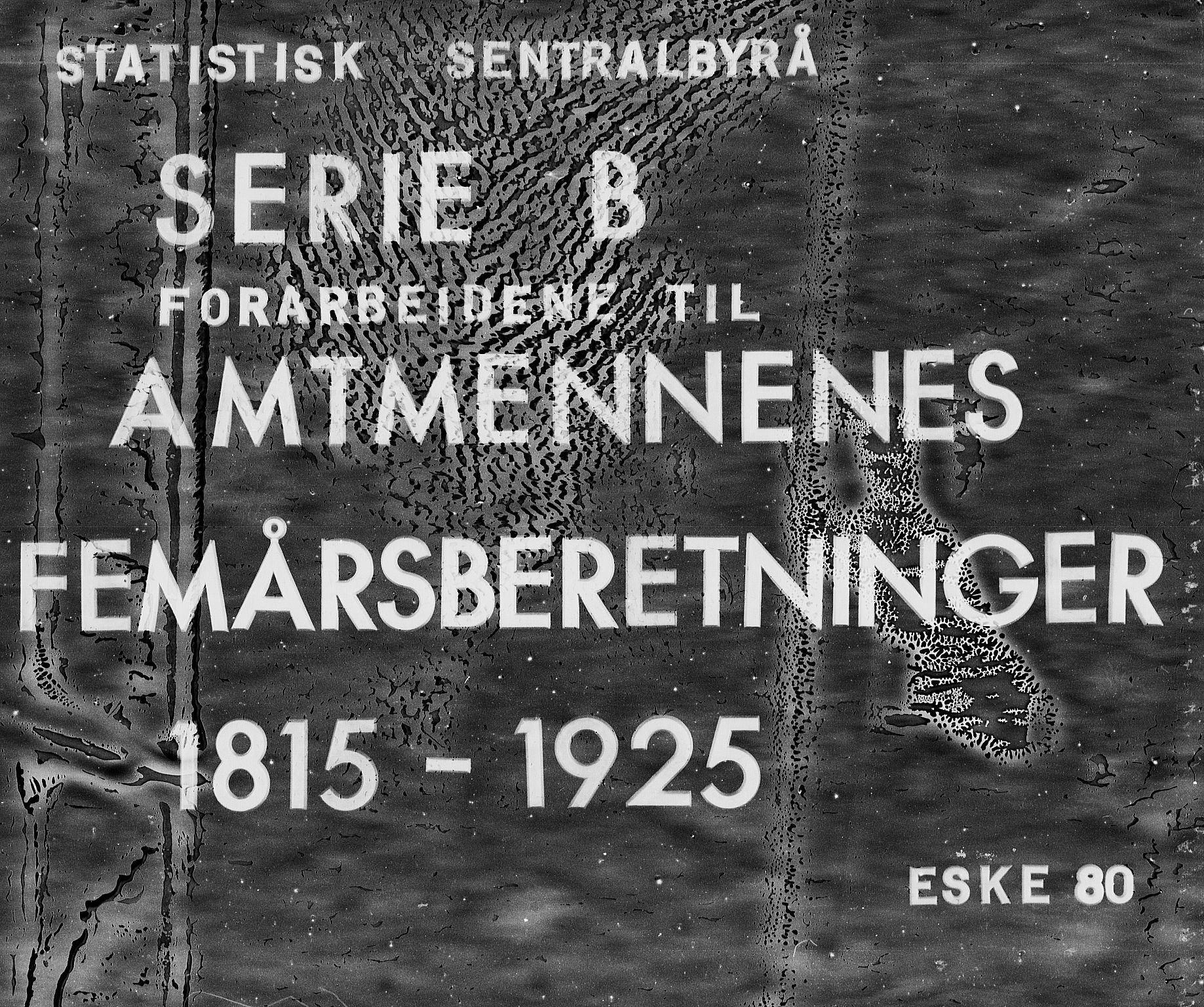 Statistisk sentralbyrå, Næringsøkonomiske emner, Generelt - Amtmennenes femårsberetninger, AV/RA-S-2233/F/Fa/L0080: --, 1895, p. 1