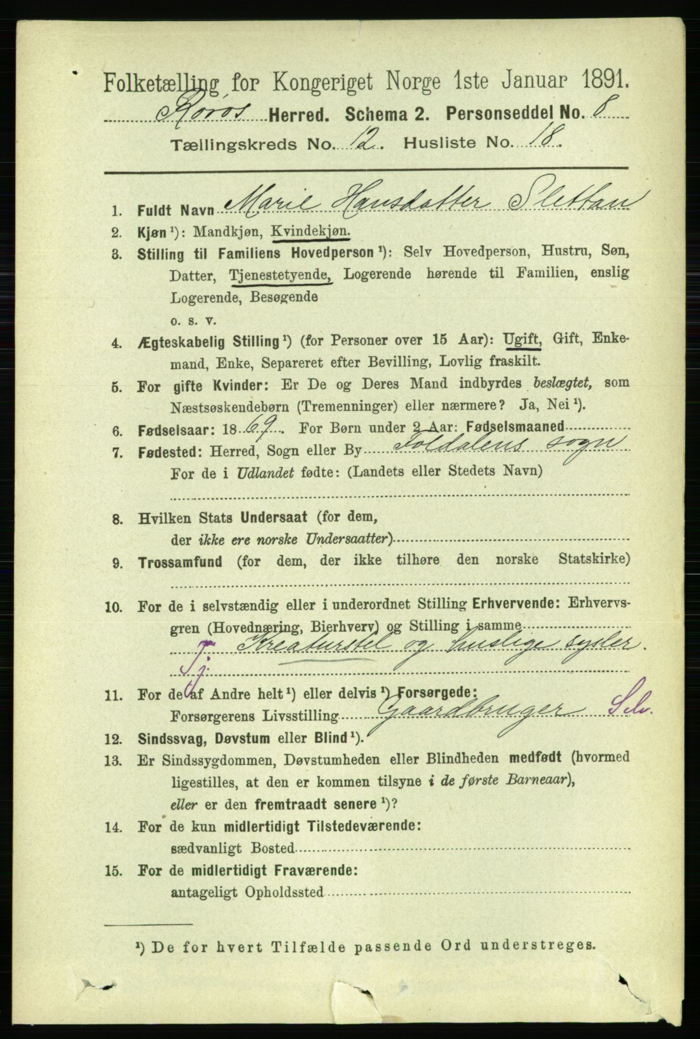 RA, 1891 census for 1640 Røros, 1891, p. 2506