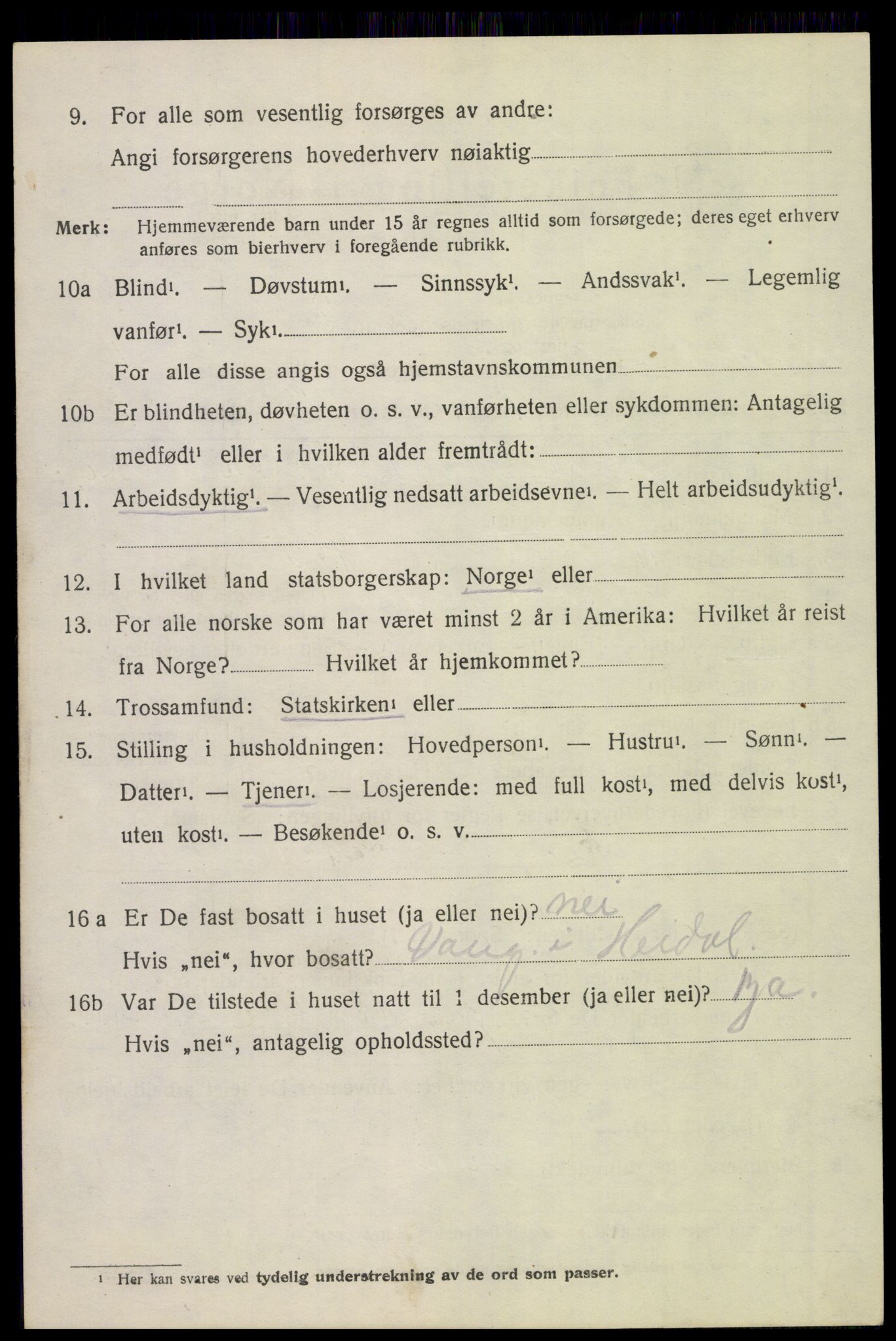 SAH, 1920 census for Heidal, 1920, p. 511