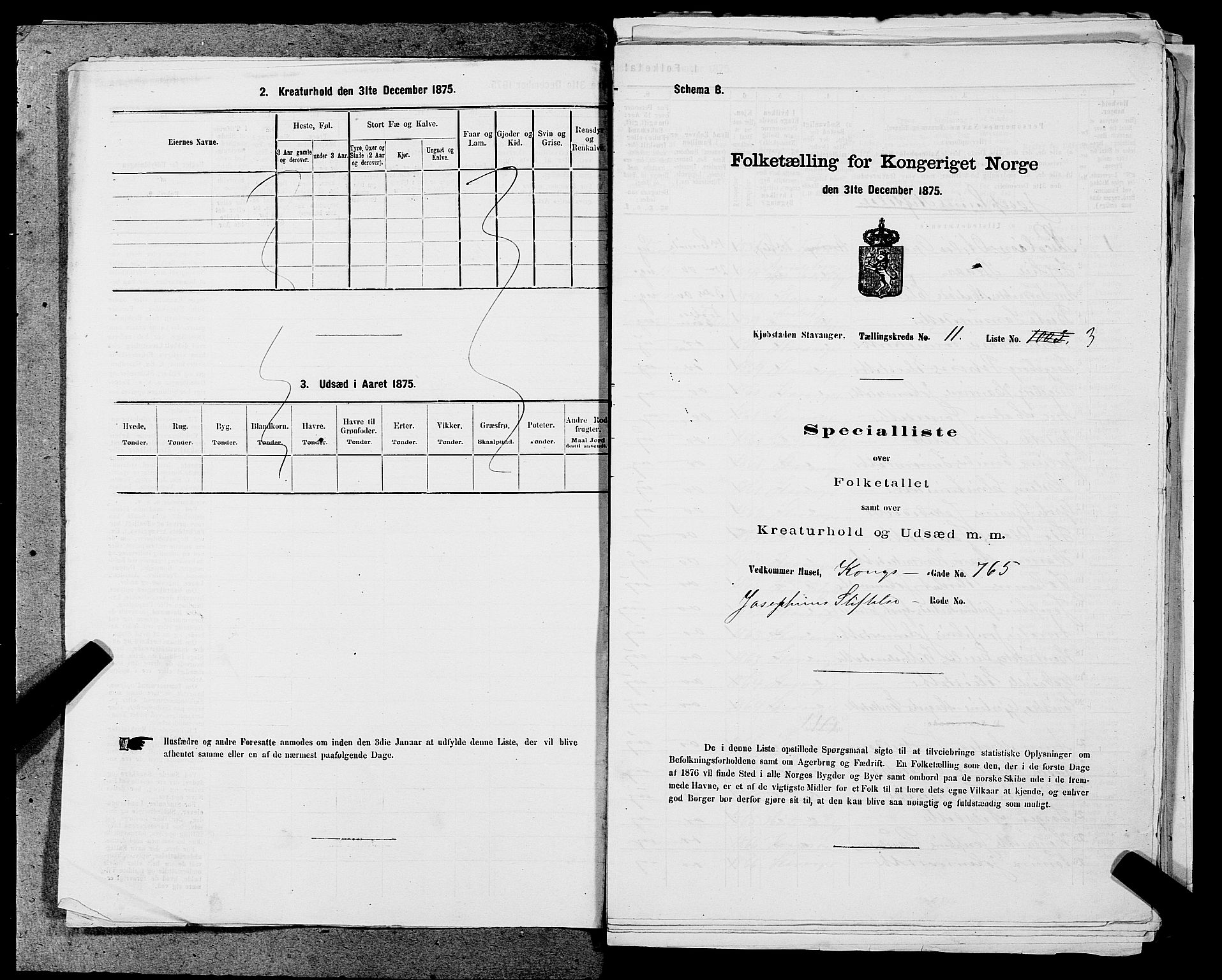 SAST, 1875 census for 1103 Stavanger, 1875, p. 2048