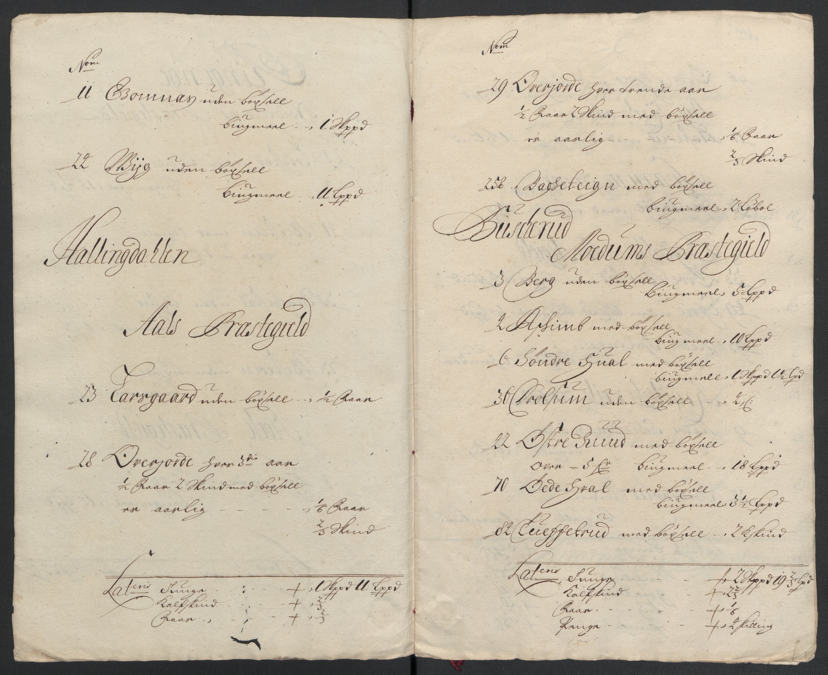 Rentekammeret inntil 1814, Reviderte regnskaper, Fogderegnskap, RA/EA-4092/R22/L1458: Fogderegnskap Ringerike, Hallingdal og Buskerud, 1701, p. 20