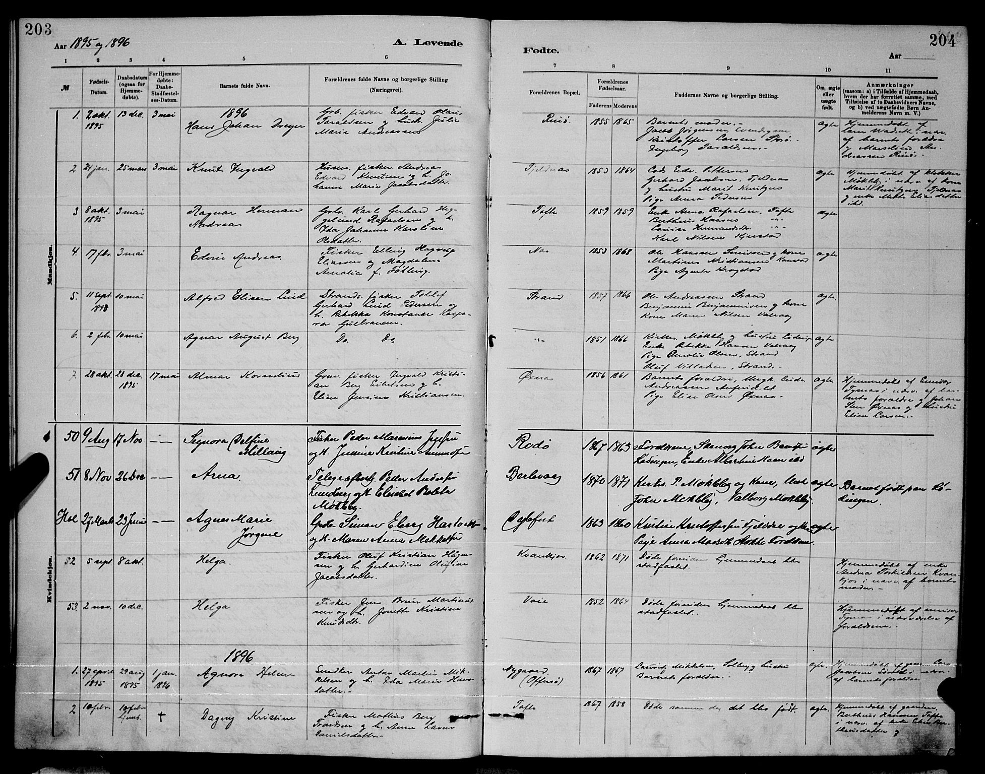 Ministerialprotokoller, klokkerbøker og fødselsregistre - Nordland, AV/SAT-A-1459/872/L1047: Parish register (copy) no. 872C03, 1880-1897, p. 203-204