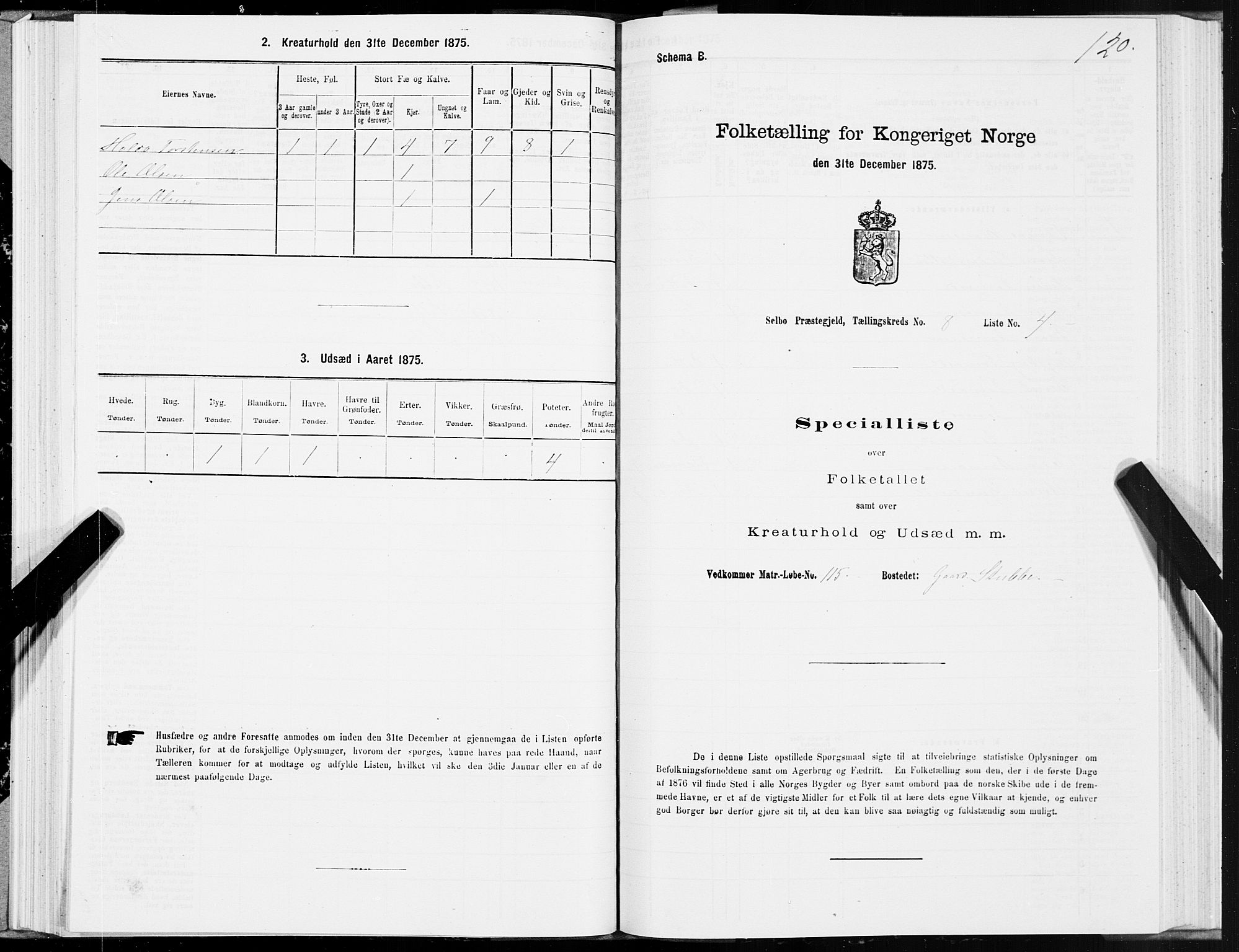 SAT, 1875 census for 1664P Selbu, 1875, p. 4120