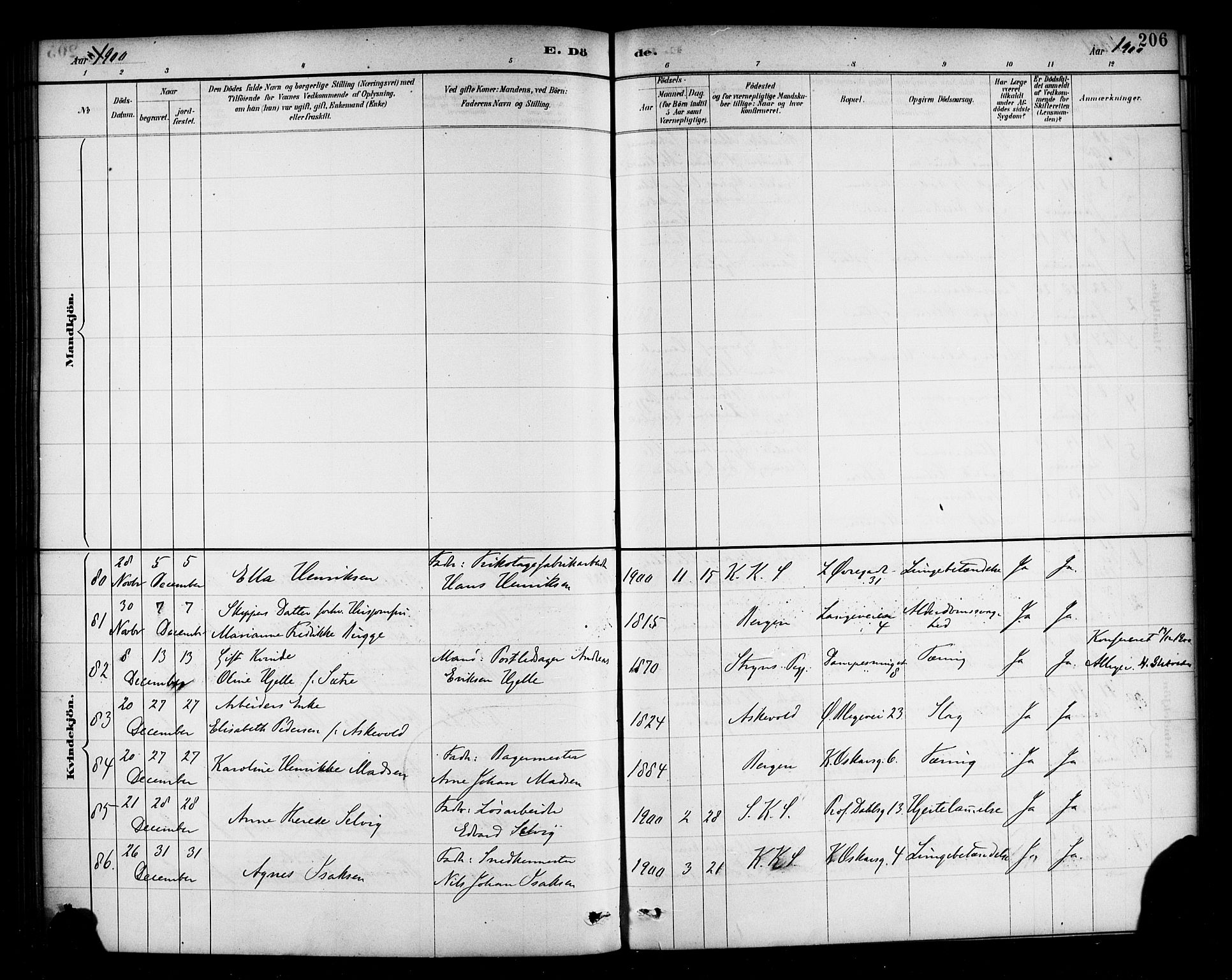 Korskirken sokneprestembete, SAB/A-76101/H/Haa/L0047: Parish register (official) no. E 5, 1884-1910, p. 206