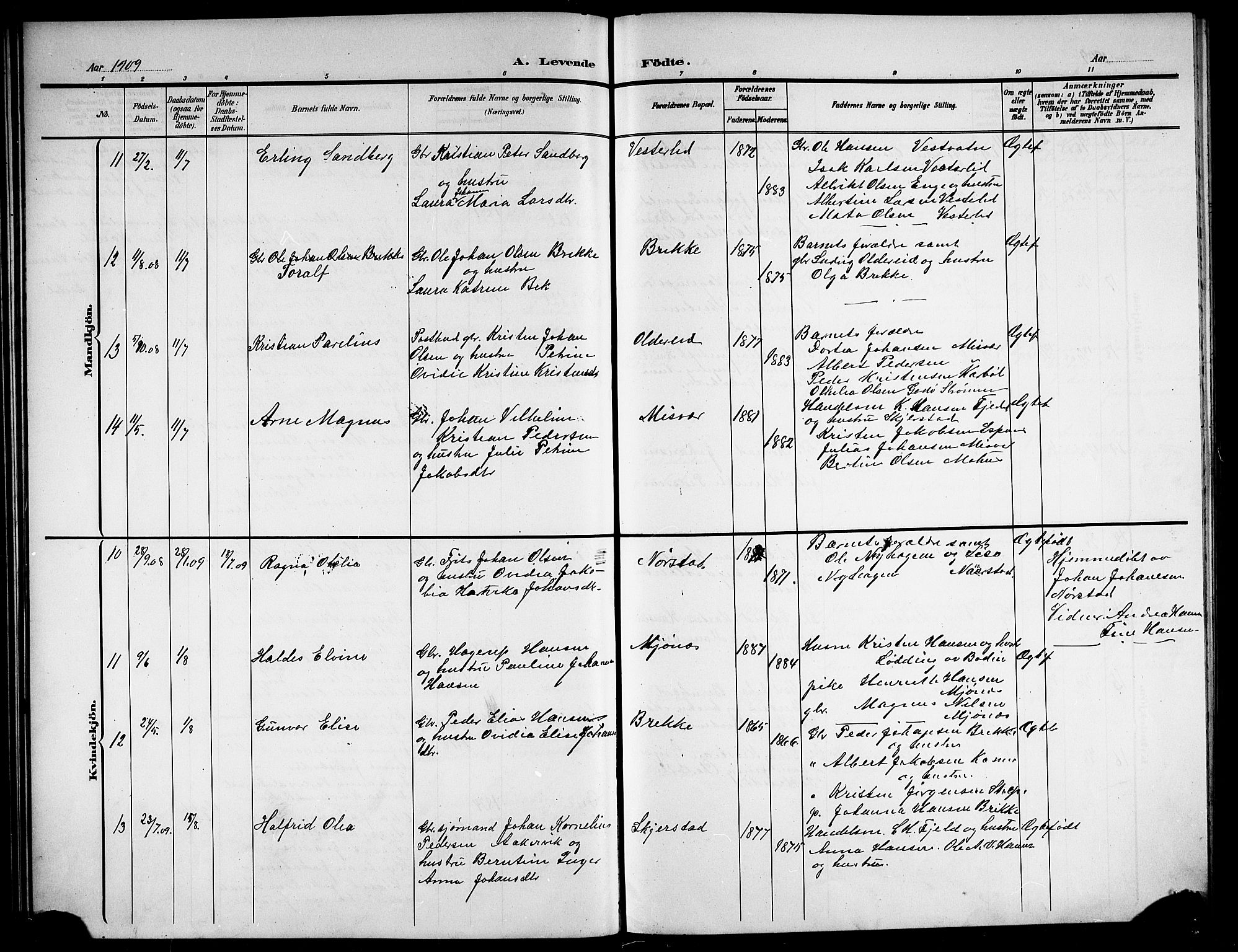 Ministerialprotokoller, klokkerbøker og fødselsregistre - Nordland, AV/SAT-A-1459/852/L0756: Parish register (copy) no. 852C07, 1902-1916