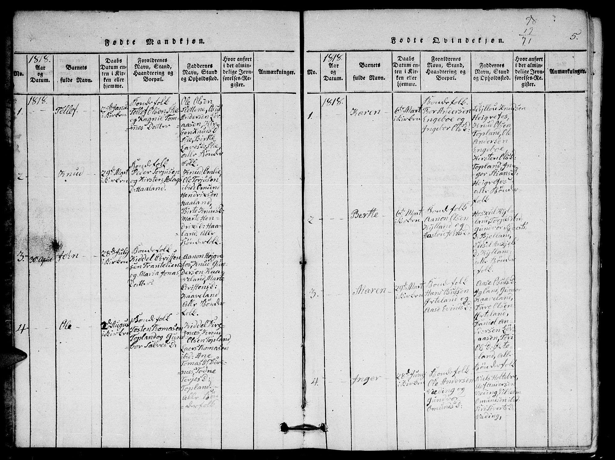 Herefoss sokneprestkontor, SAK/1111-0019/F/Fa/Faa/L0001: Parish register (official) no. A 1, 1816-1860, p. 5