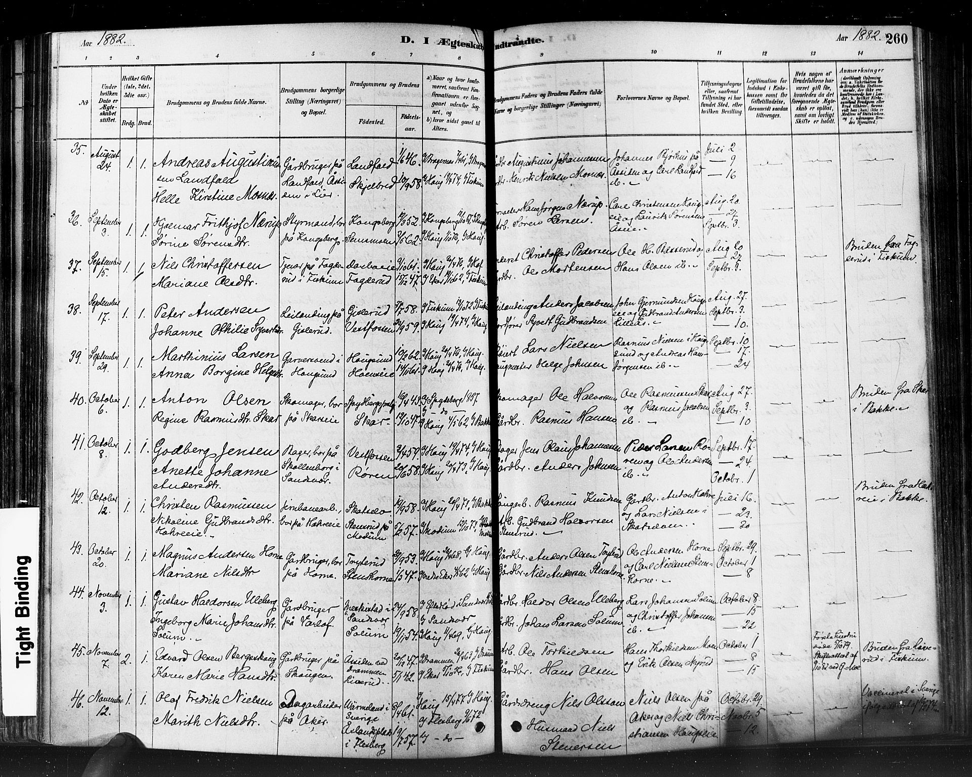 Eiker kirkebøker, AV/SAKO-A-4/F/Fb/L0001: Parish register (official) no. II 1, 1878-1888, p. 260