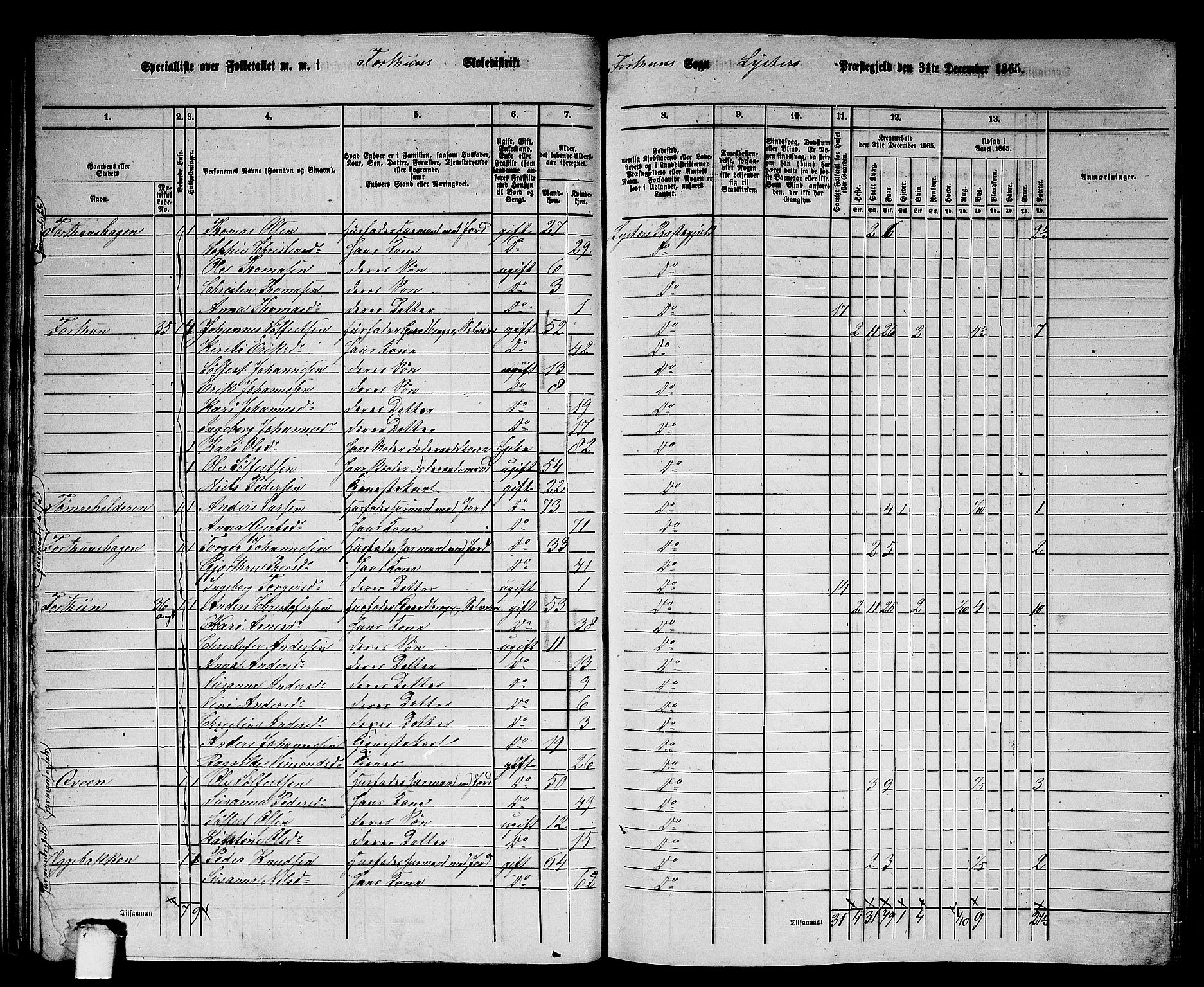 RA, 1865 census for Luster, 1865, p. 35