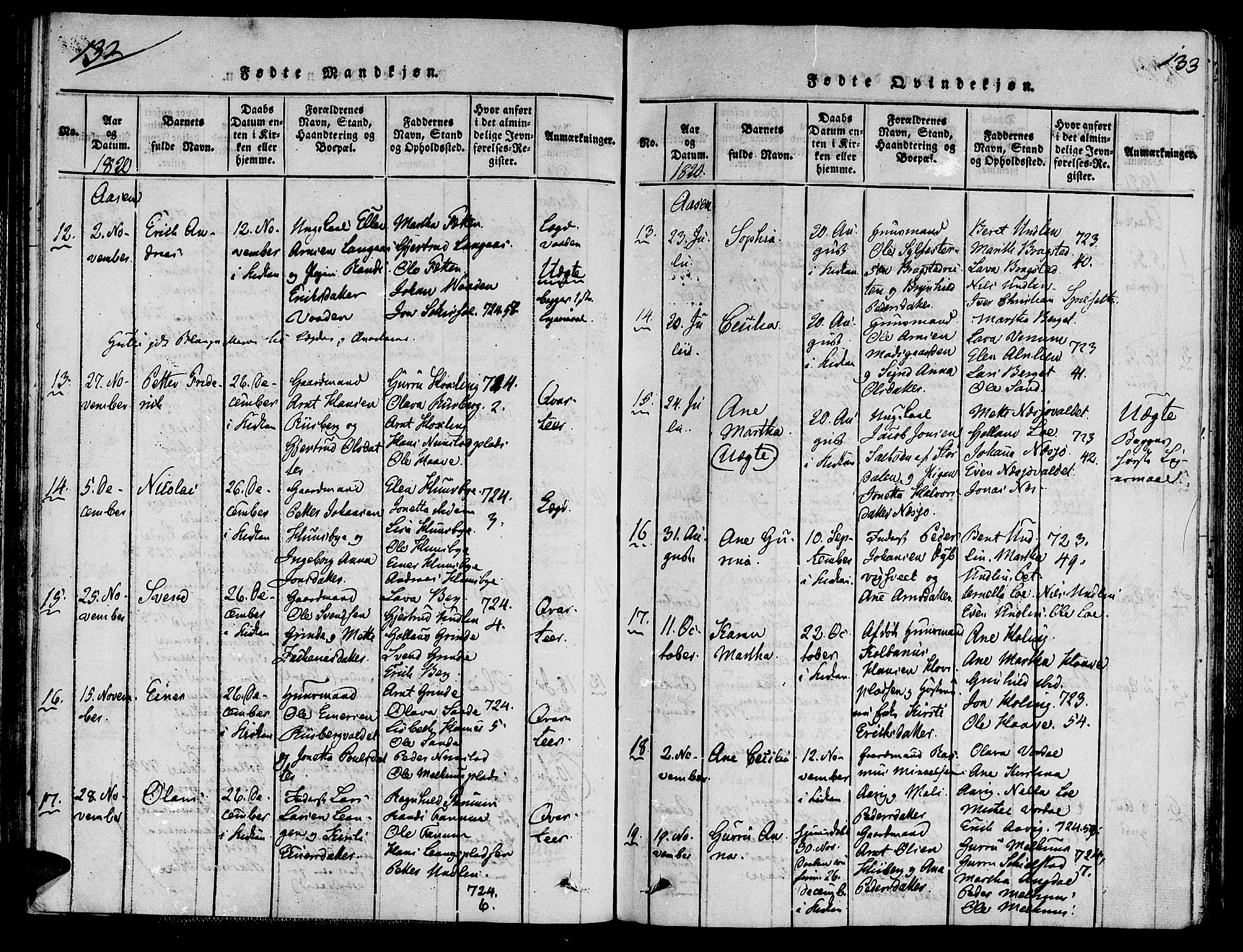 Ministerialprotokoller, klokkerbøker og fødselsregistre - Nord-Trøndelag, AV/SAT-A-1458/713/L0112: Parish register (official) no. 713A04 /2, 1817-1827, p. 132-133