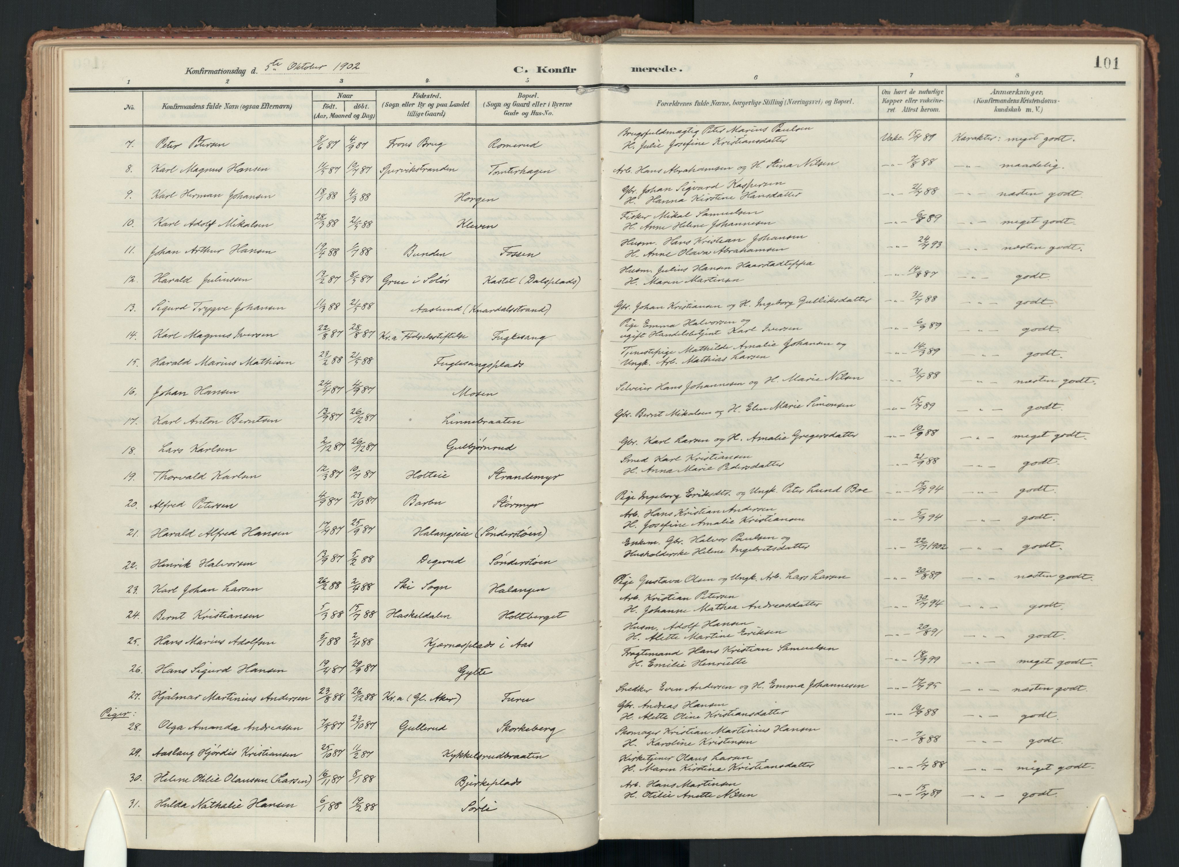 Drøbak prestekontor Kirkebøker, AV/SAO-A-10142a/F/Fc/L0003: Parish register (official) no. III 3, 1901-1920, p. 101