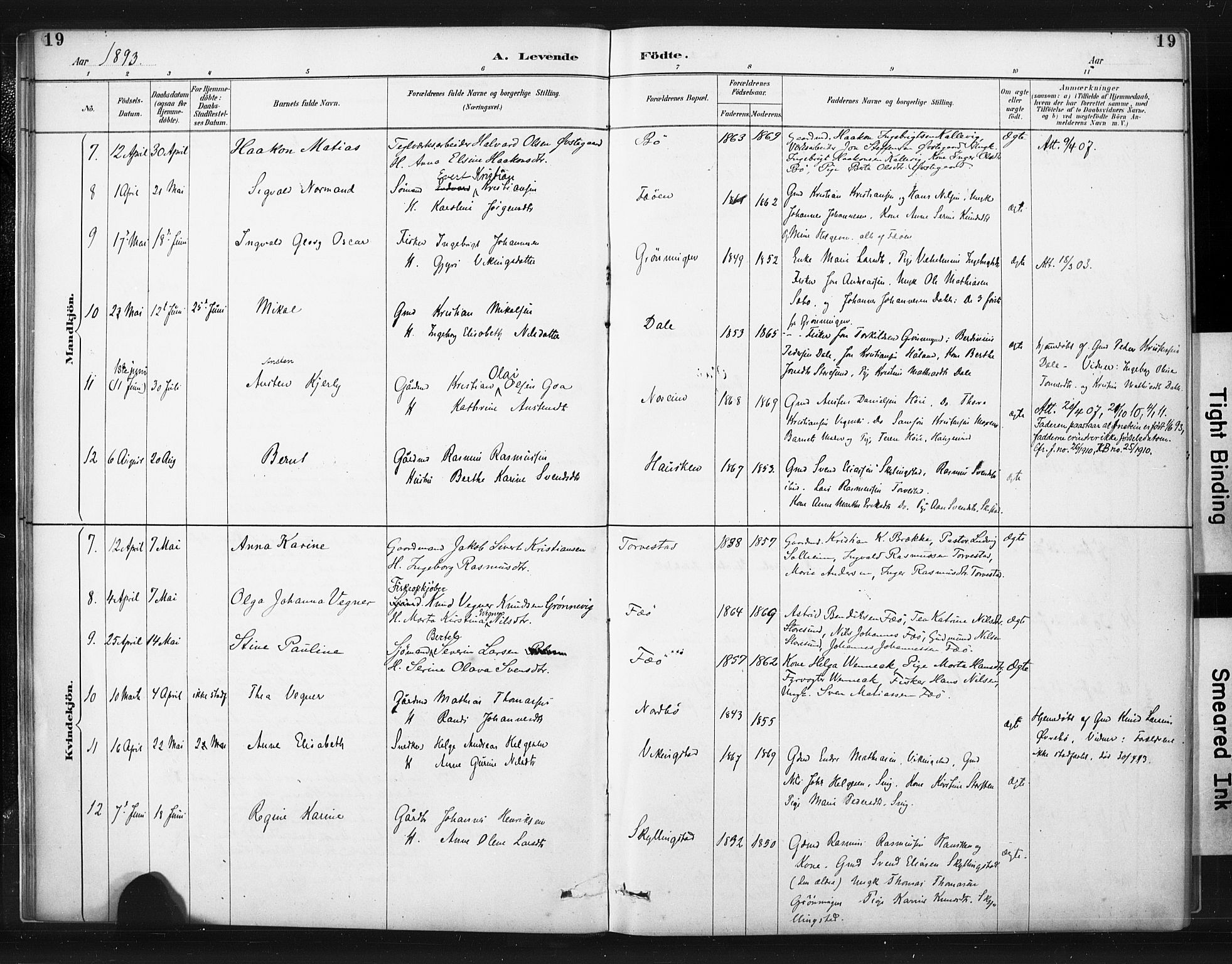 Torvastad sokneprestkontor, SAST/A -101857/H/Ha/Haa/L0015: Parish register (official) no. A 14, 1888-1899, p. 19