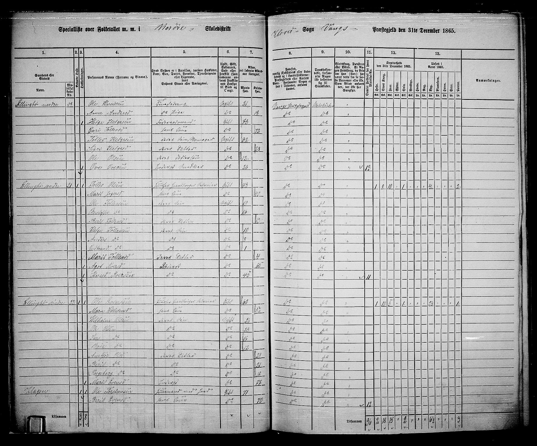 RA, 1865 census for Vang, 1865, p. 20