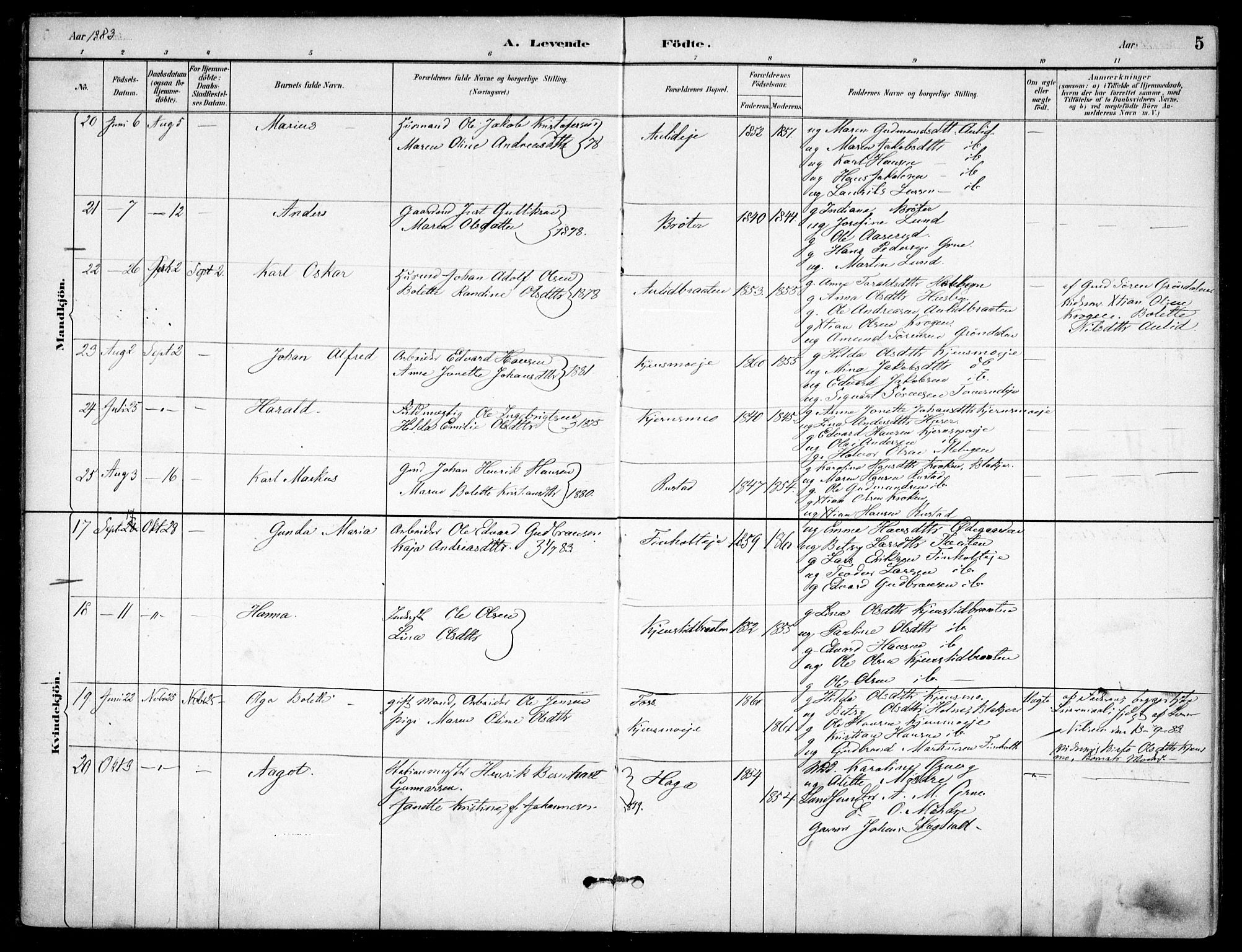 Nes prestekontor Kirkebøker, SAO/A-10410/F/Fc/L0002: Parish register (official) no. IIi 2, 1882-1916, p. 5
