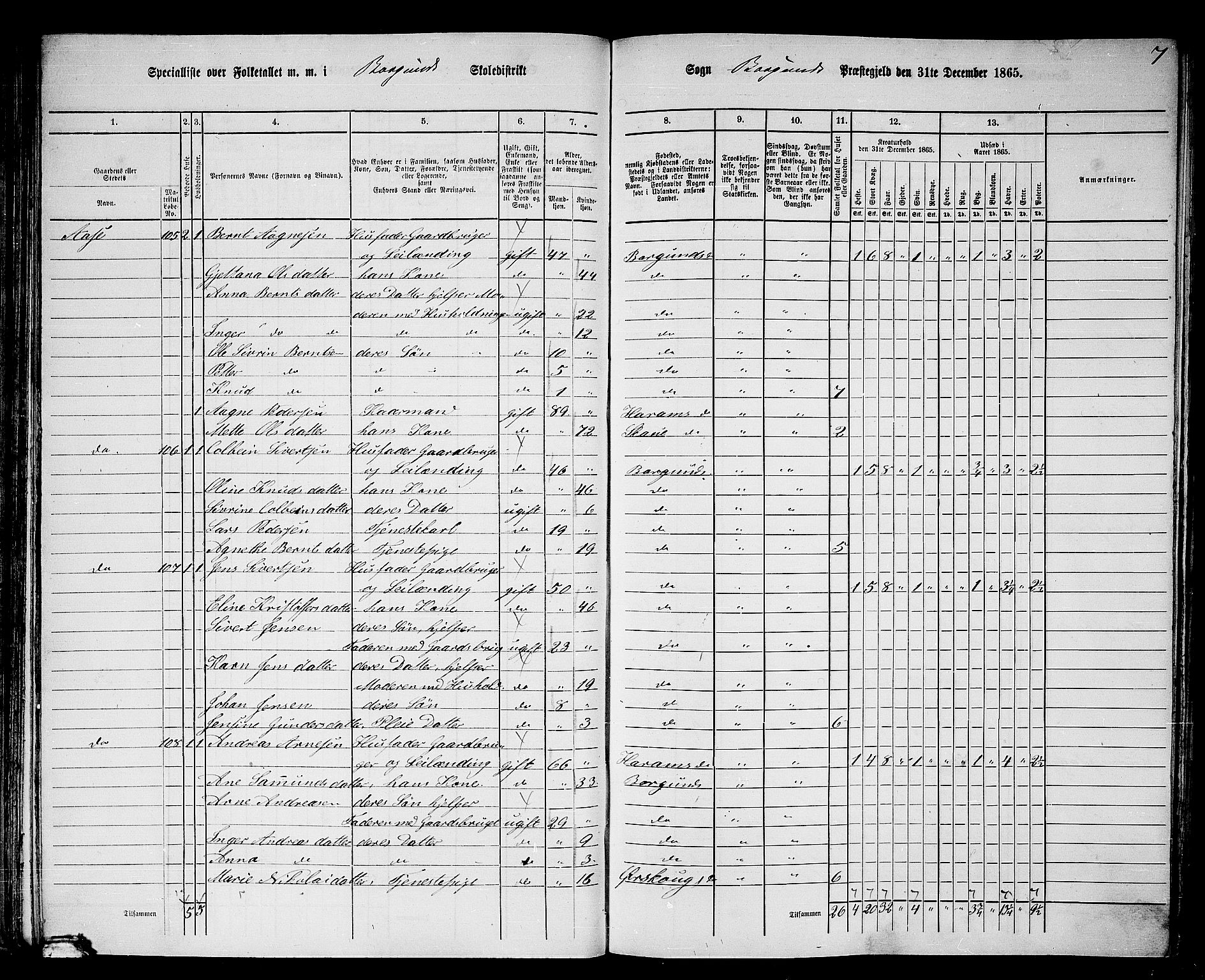 RA, 1865 census for Borgund, 1865, p. 66