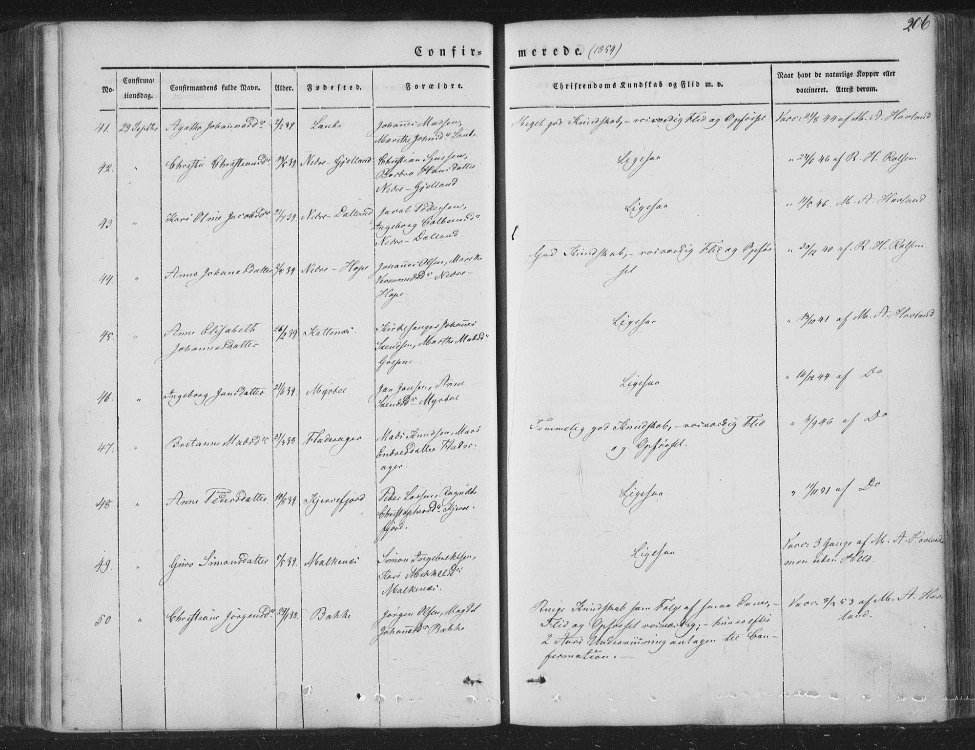 Tysnes sokneprestembete, AV/SAB-A-78601/H/Haa: Parish register (official) no. A 10, 1848-1859, p. 206