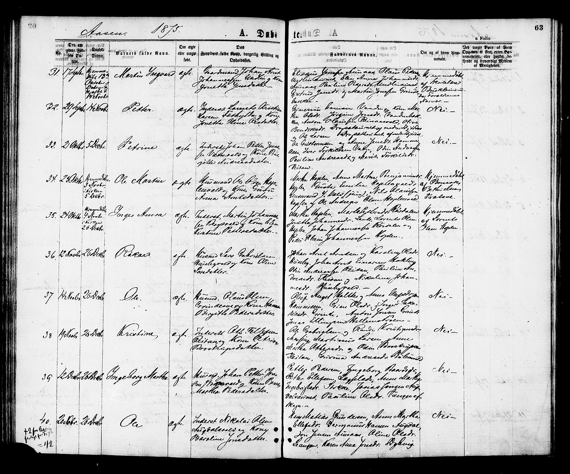 Ministerialprotokoller, klokkerbøker og fødselsregistre - Nord-Trøndelag, SAT/A-1458/713/L0118: Parish register (official) no. 713A08 /2, 1875-1877, p. 63