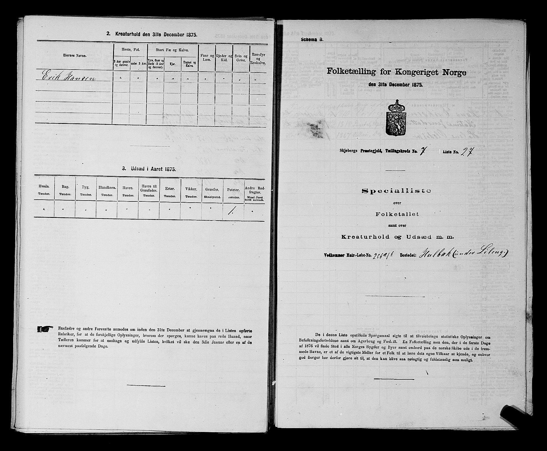 RA, 1875 census for 0115P Skjeberg, 1875, p. 1317