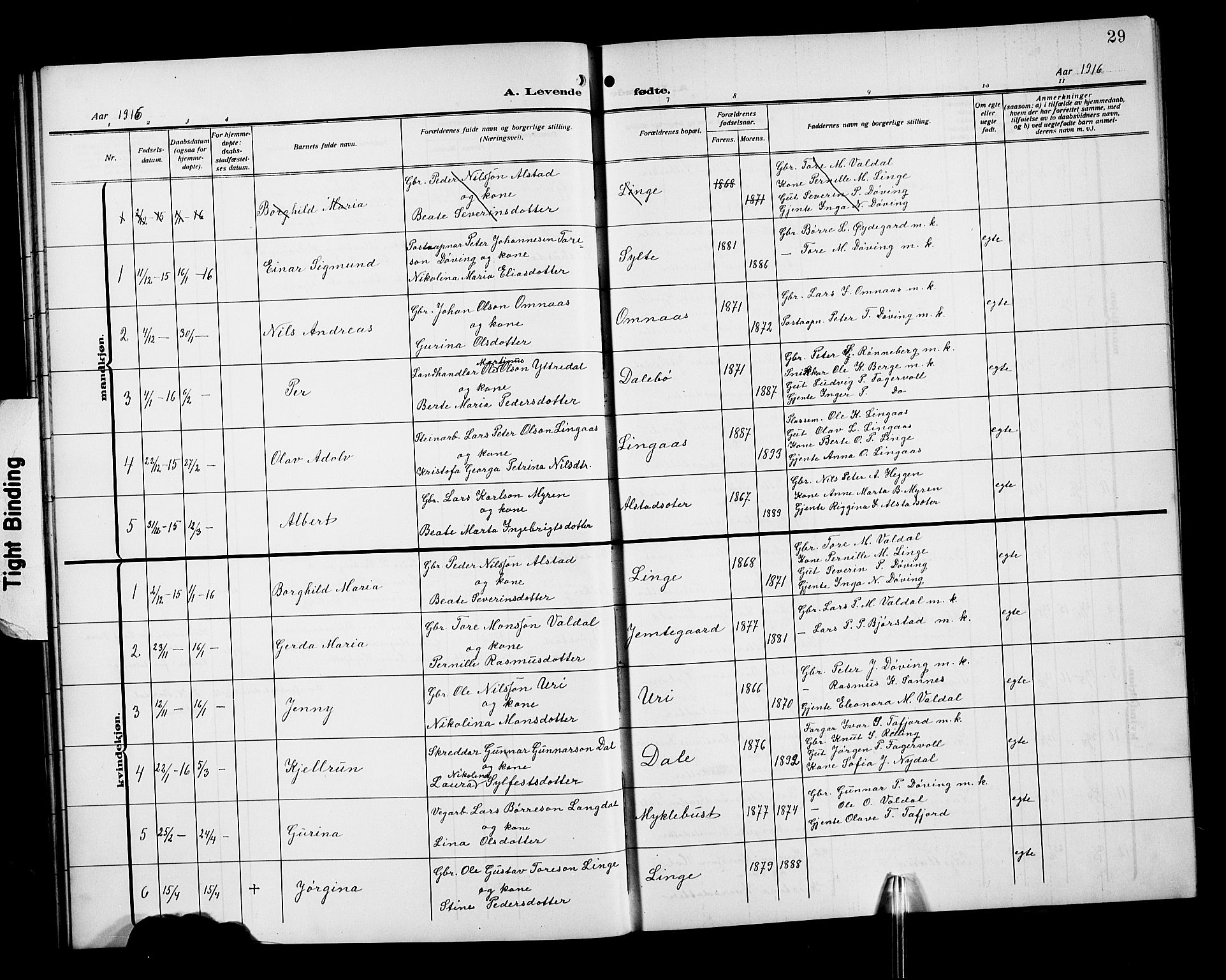 Ministerialprotokoller, klokkerbøker og fødselsregistre - Møre og Romsdal, SAT/A-1454/519/L0265: Parish register (copy) no. 519C06, 1911-1921, p. 29