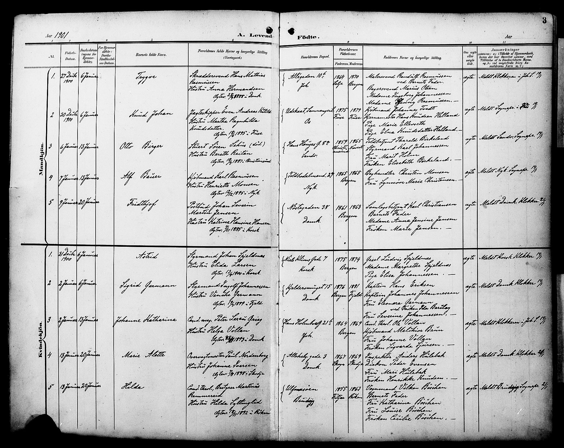 Fødselsstiftelsens sokneprestembete*, SAB/-: Parish register (official) no. A 3, 1901-1910, p. 3