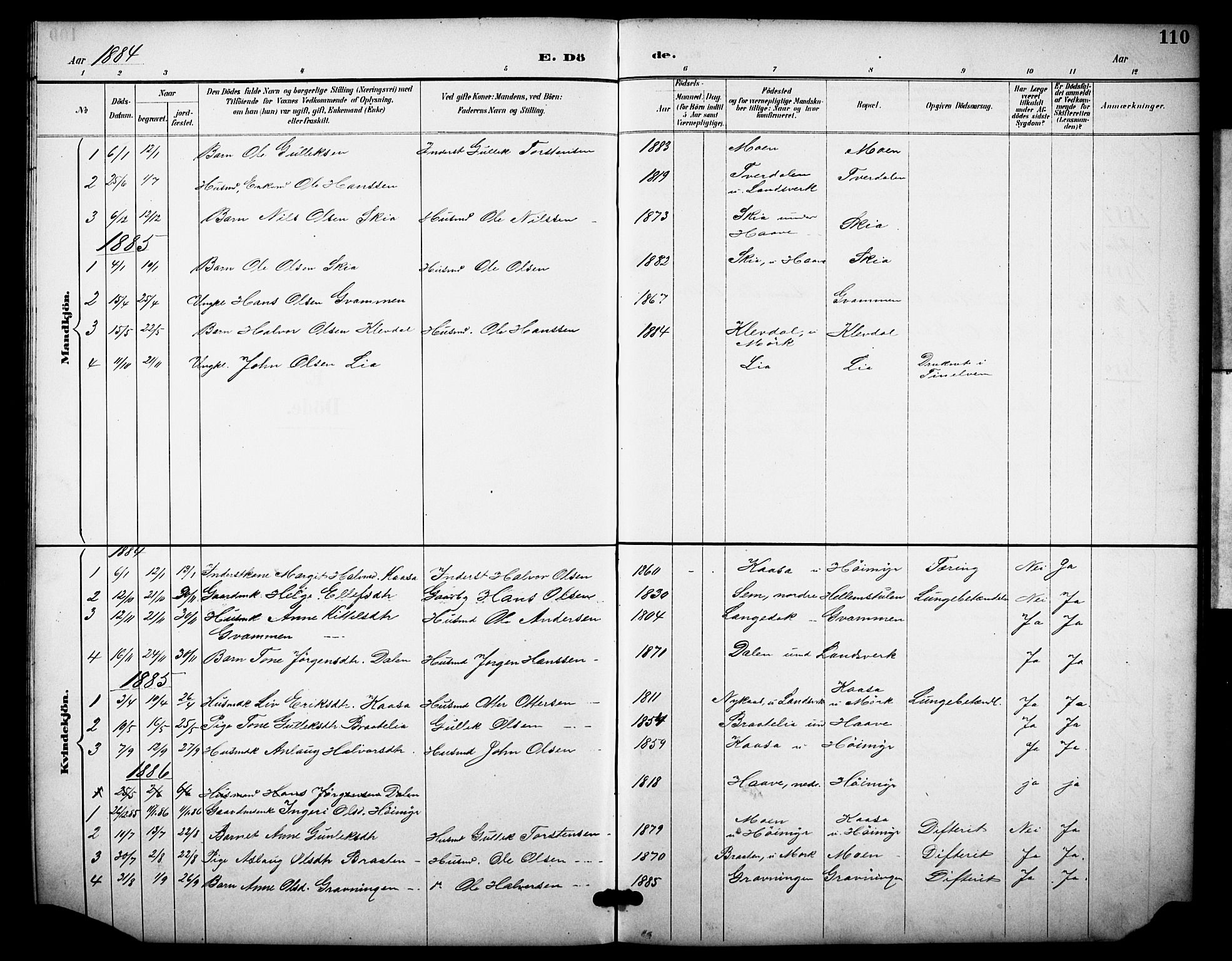 Heddal kirkebøker, SAKO/A-268/F/Fb/L0001: Parish register (official) no. II 1, 1884-1910, p. 110