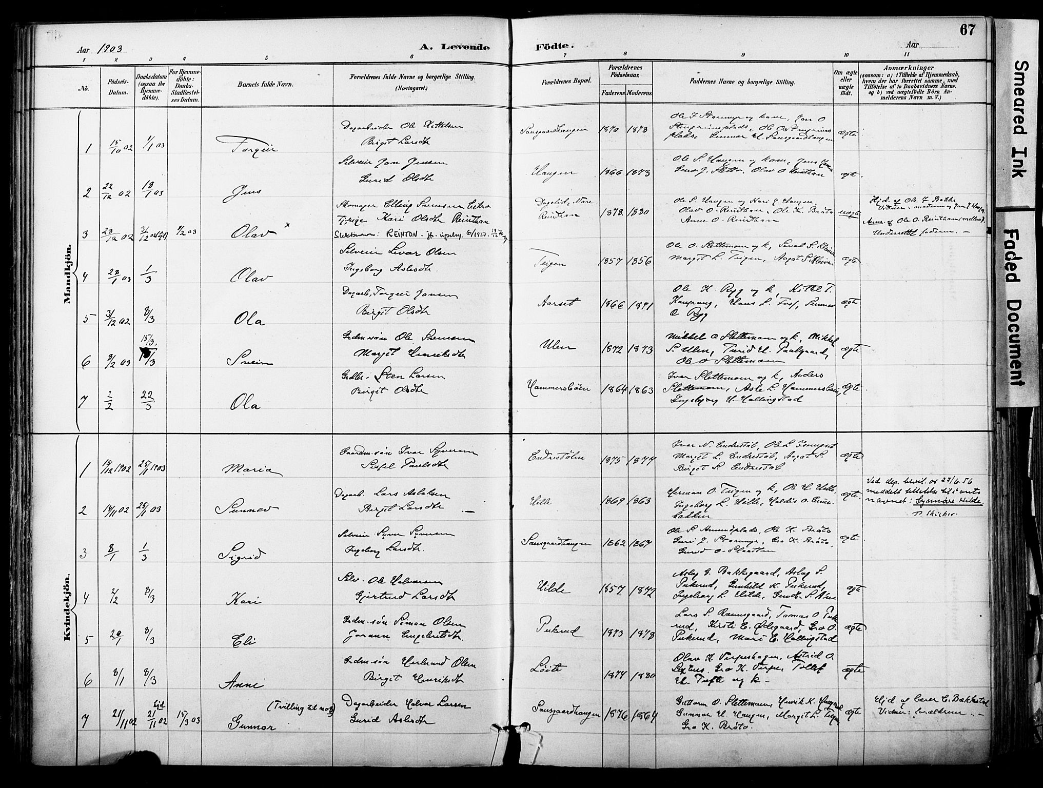 Hol kirkebøker, SAKO/A-227/F/Fa/L0003: Parish register (official) no. I 3, 1887-1918, p. 67