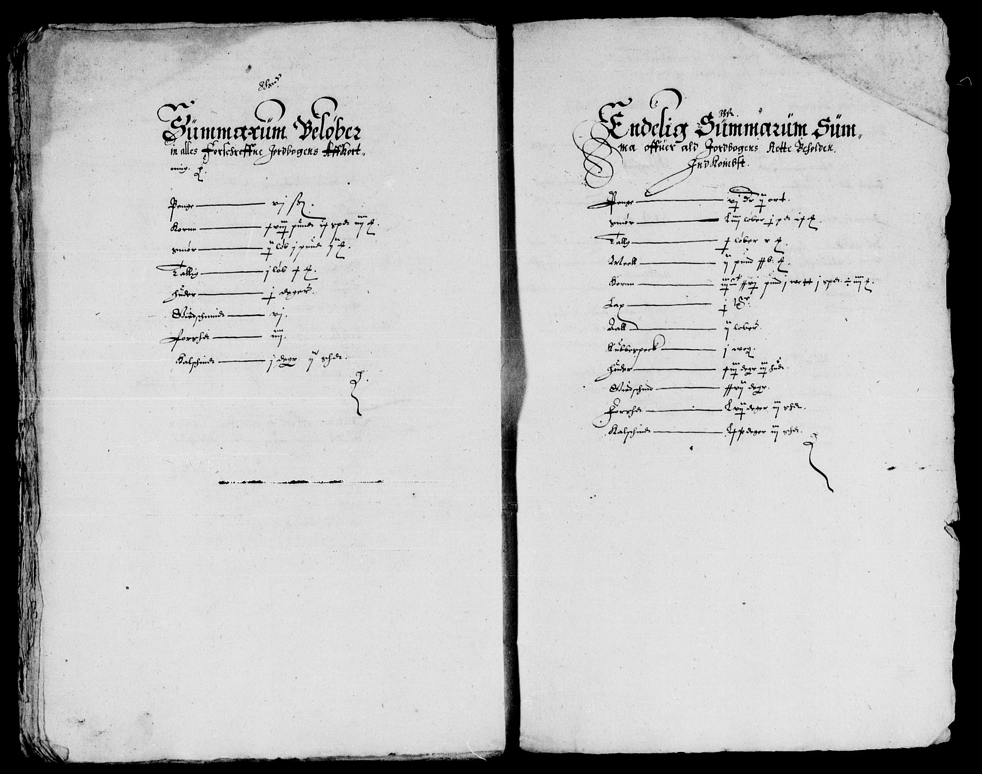 Rentekammeret inntil 1814, Reviderte regnskaper, Lensregnskaper, AV/RA-EA-5023/R/Rb/Rbs/L0013: Stavanger len, 1628-1629