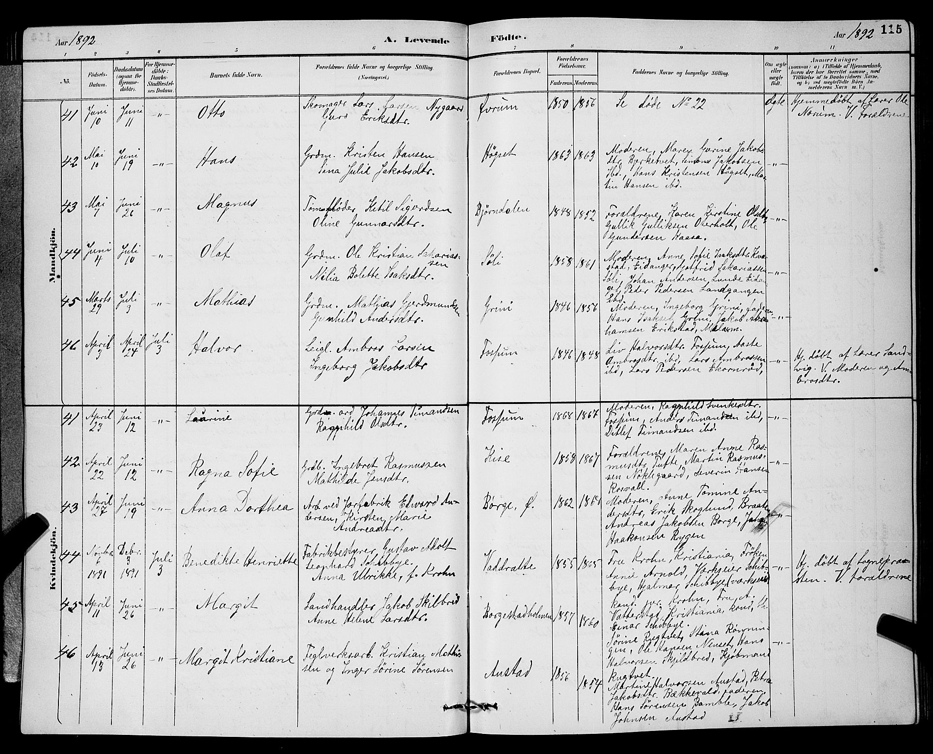 Gjerpen kirkebøker, AV/SAKO-A-265/G/Ga/L0002: Parish register (copy) no. I 2, 1883-1900, p. 115