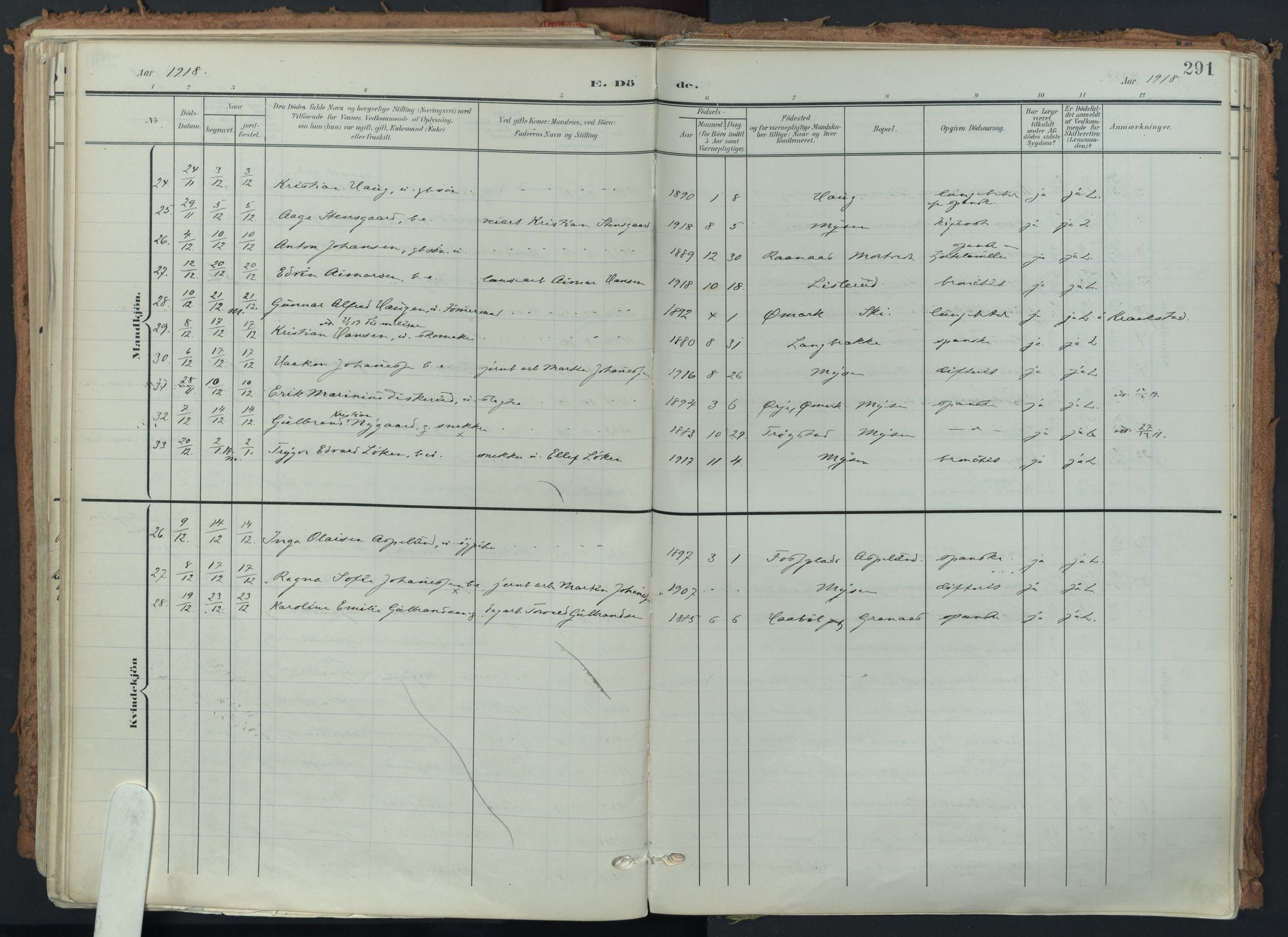 Eidsberg prestekontor Kirkebøker, AV/SAO-A-10905/F/Fa/L0014: Parish register (official) no. I 14, 1902-1919, p. 291