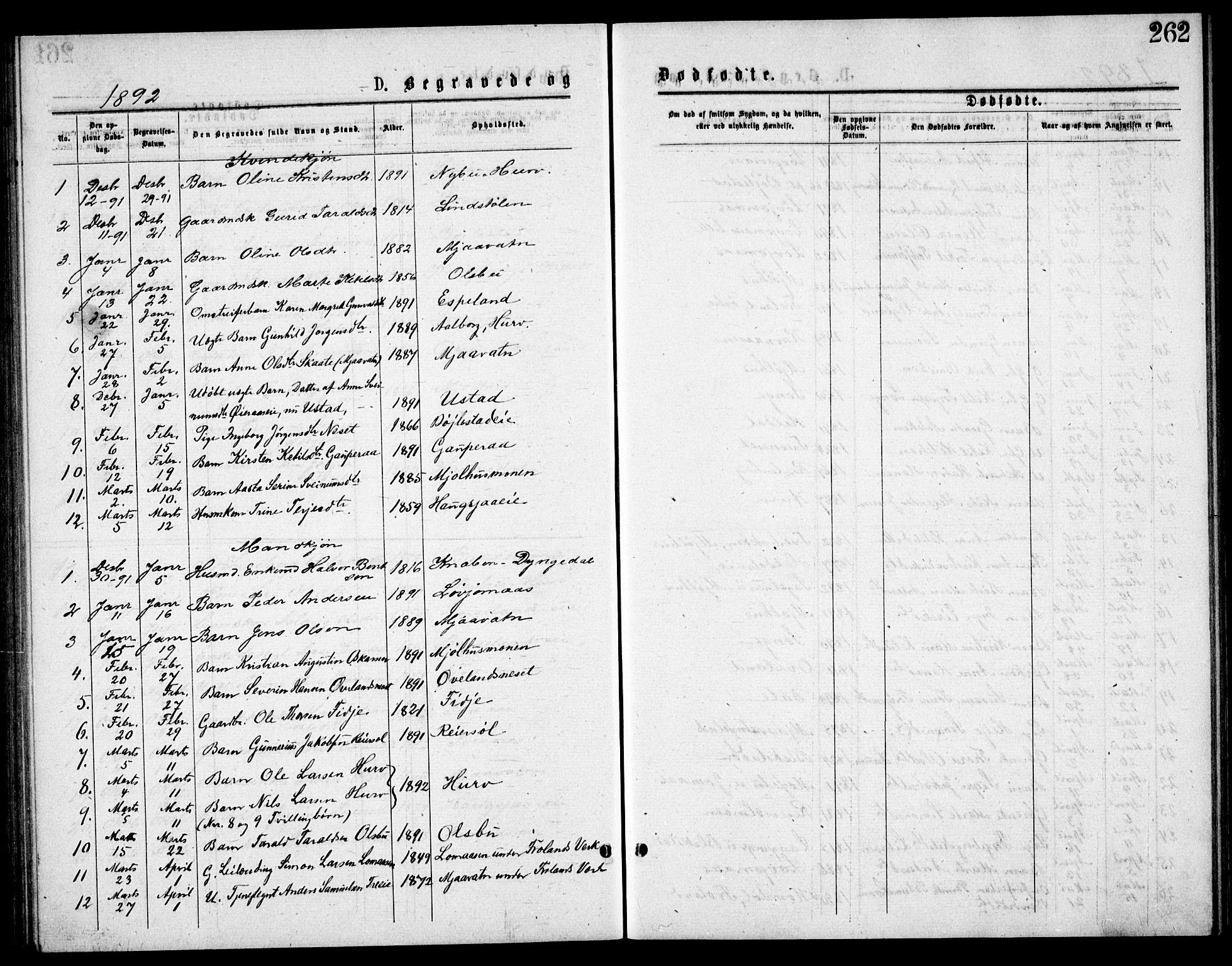 Froland sokneprestkontor, SAK/1111-0013/F/Fb/L0009: Parish register (copy) no. B 9, 1875-1893, p. 262
