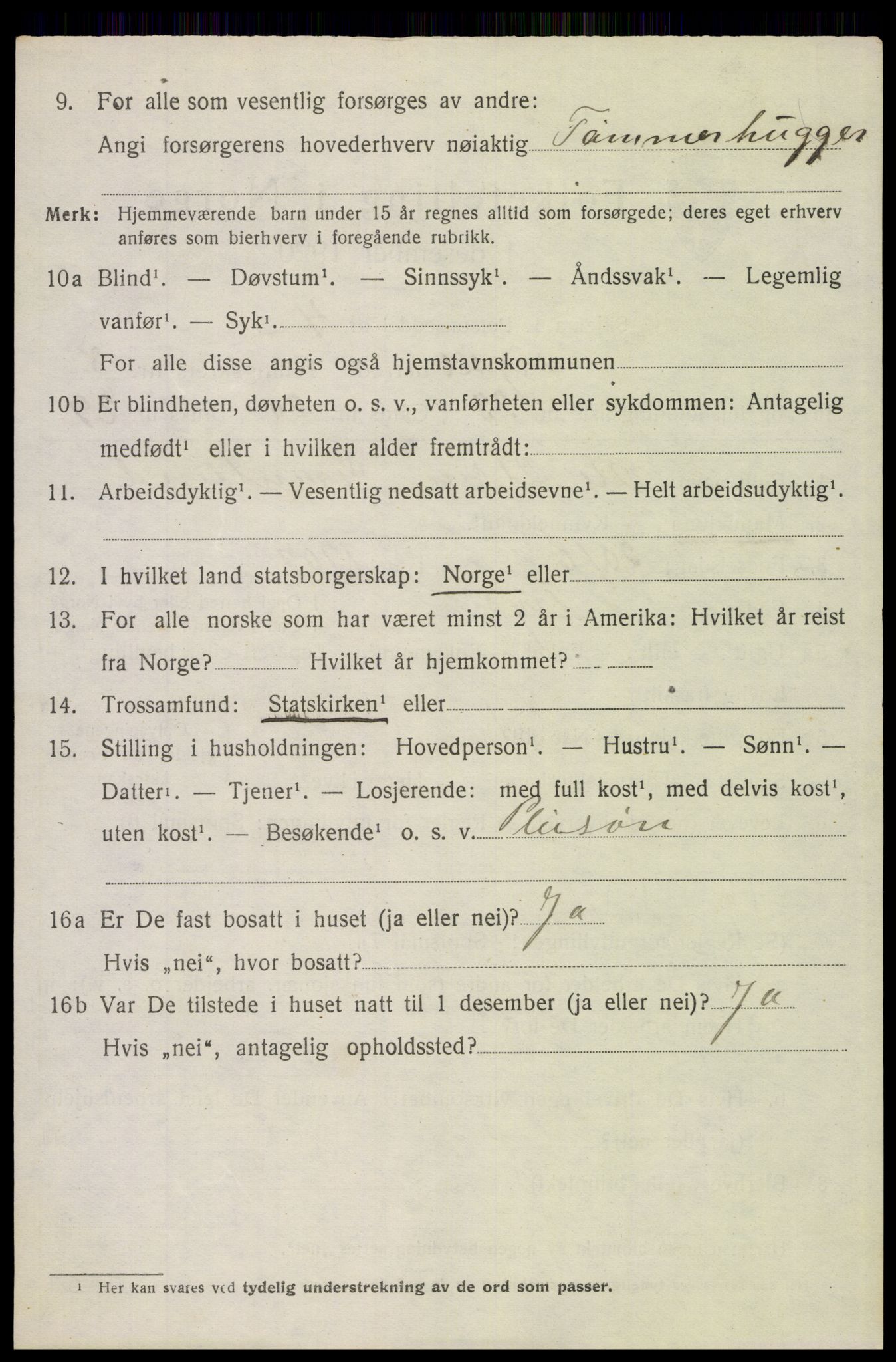 SAH, 1920 census for Trysil, 1920, p. 6518