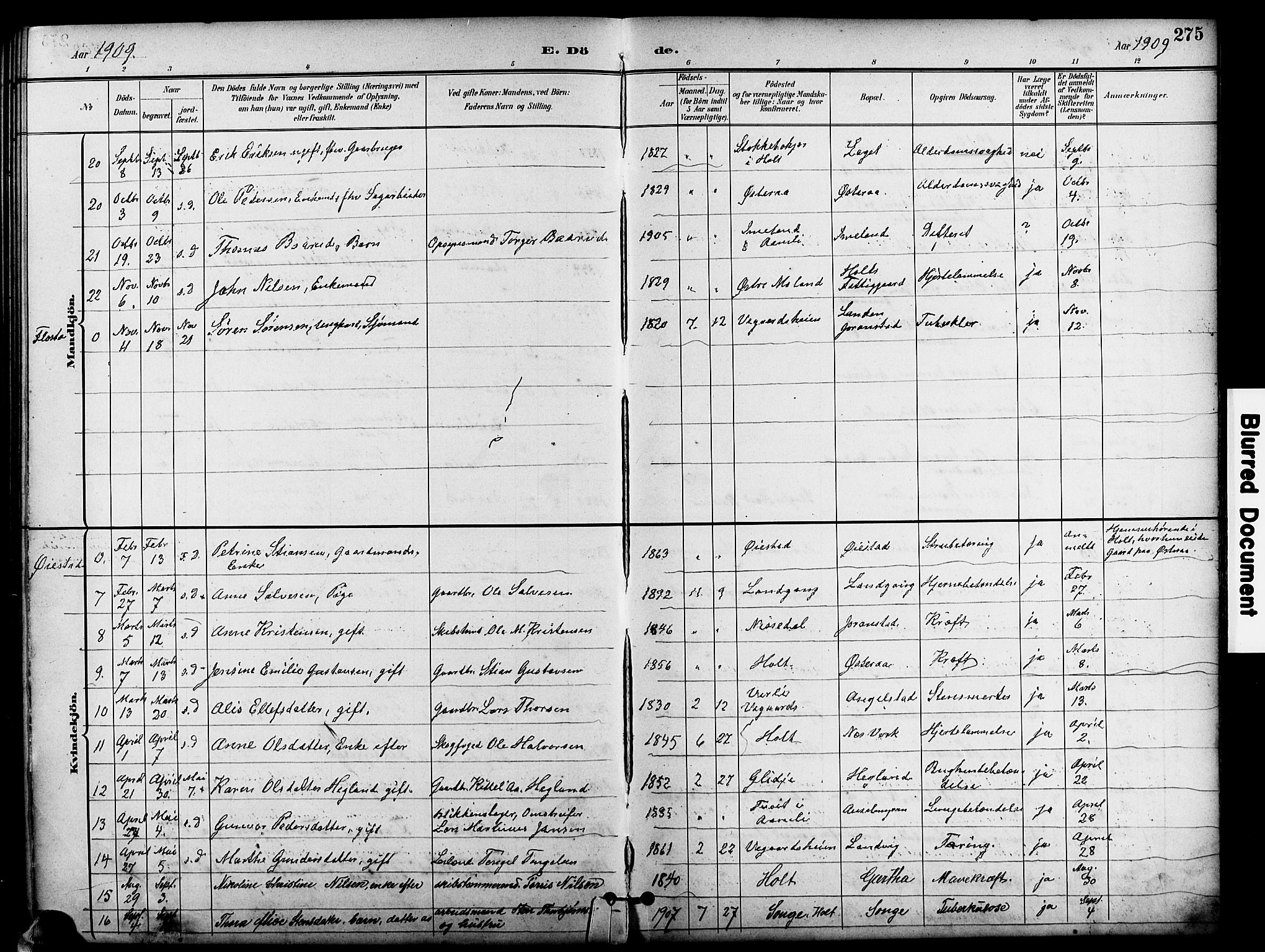 Holt sokneprestkontor, SAK/1111-0021/F/Fb/L0011: Parish register (copy) no. B 11, 1897-1921, p. 275