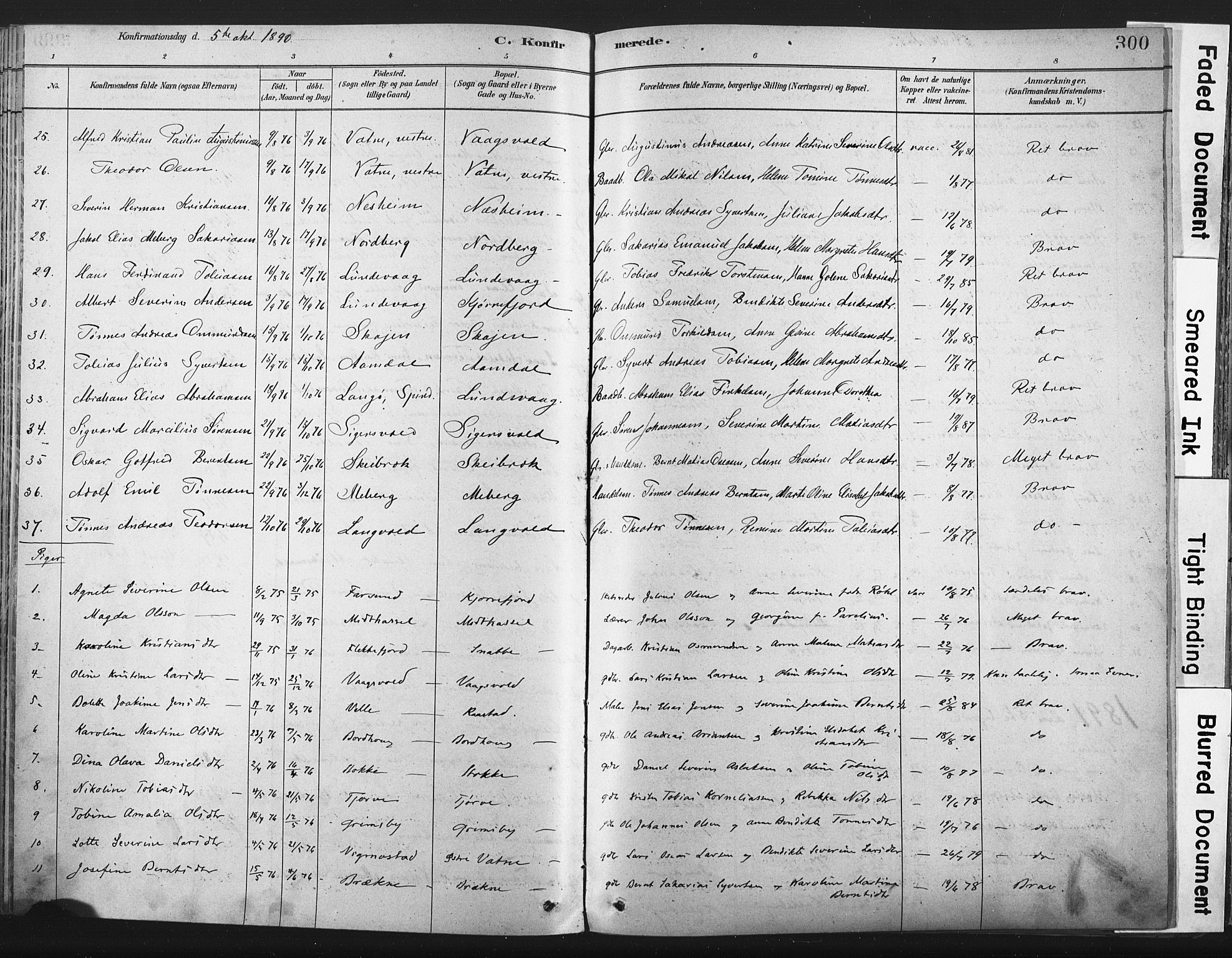 Lista sokneprestkontor, AV/SAK-1111-0027/F/Fa/L0012: Parish register (official) no. A 12, 1879-1903, p. 300