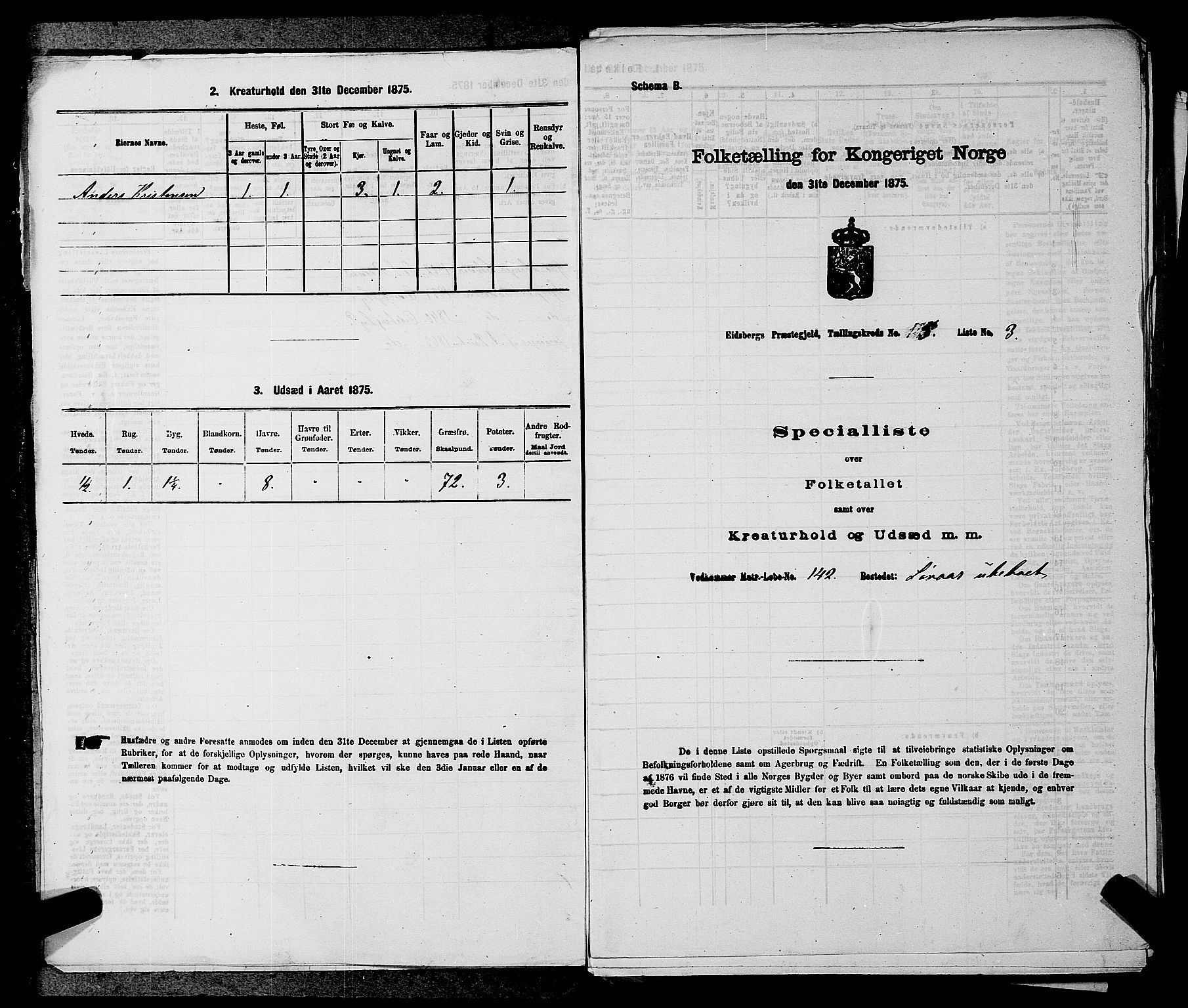 RA, 1875 census for 0125P Eidsberg, 1875, p. 904