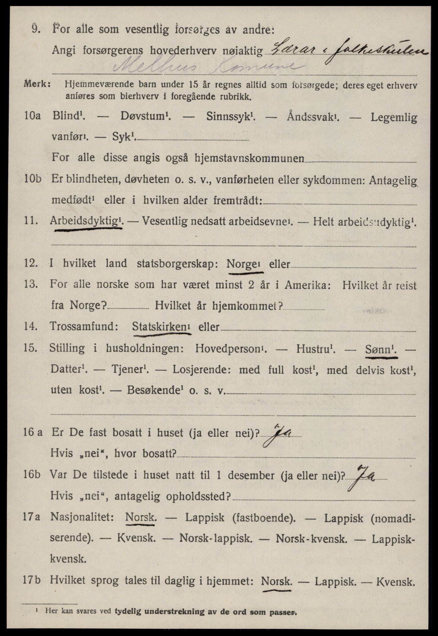 SAT, 1920 census for Melhus, 1920, p. 2600