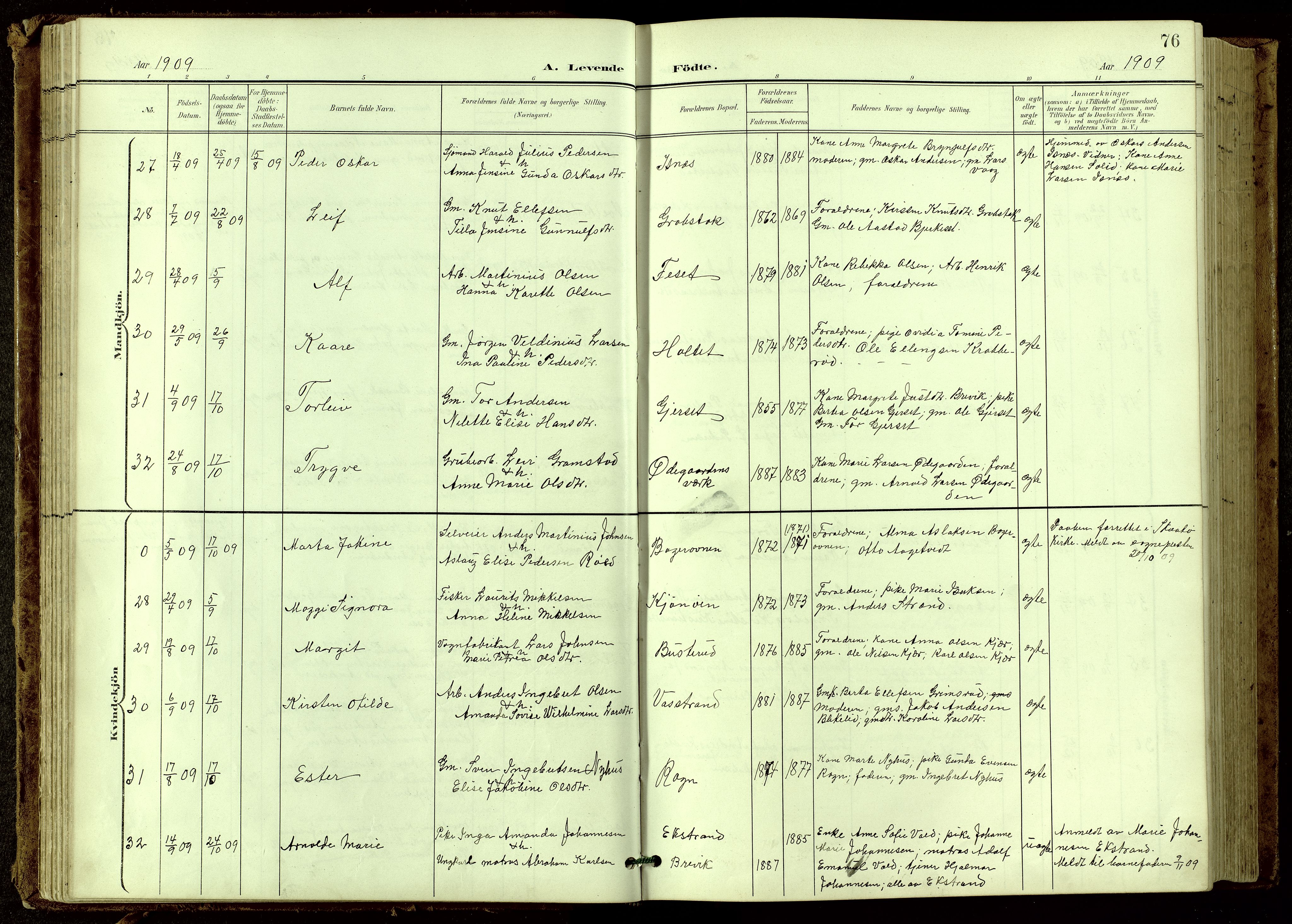 Bamble kirkebøker, SAKO/A-253/G/Ga/L0010: Parish register (copy) no. I 10, 1901-1919, p. 76
