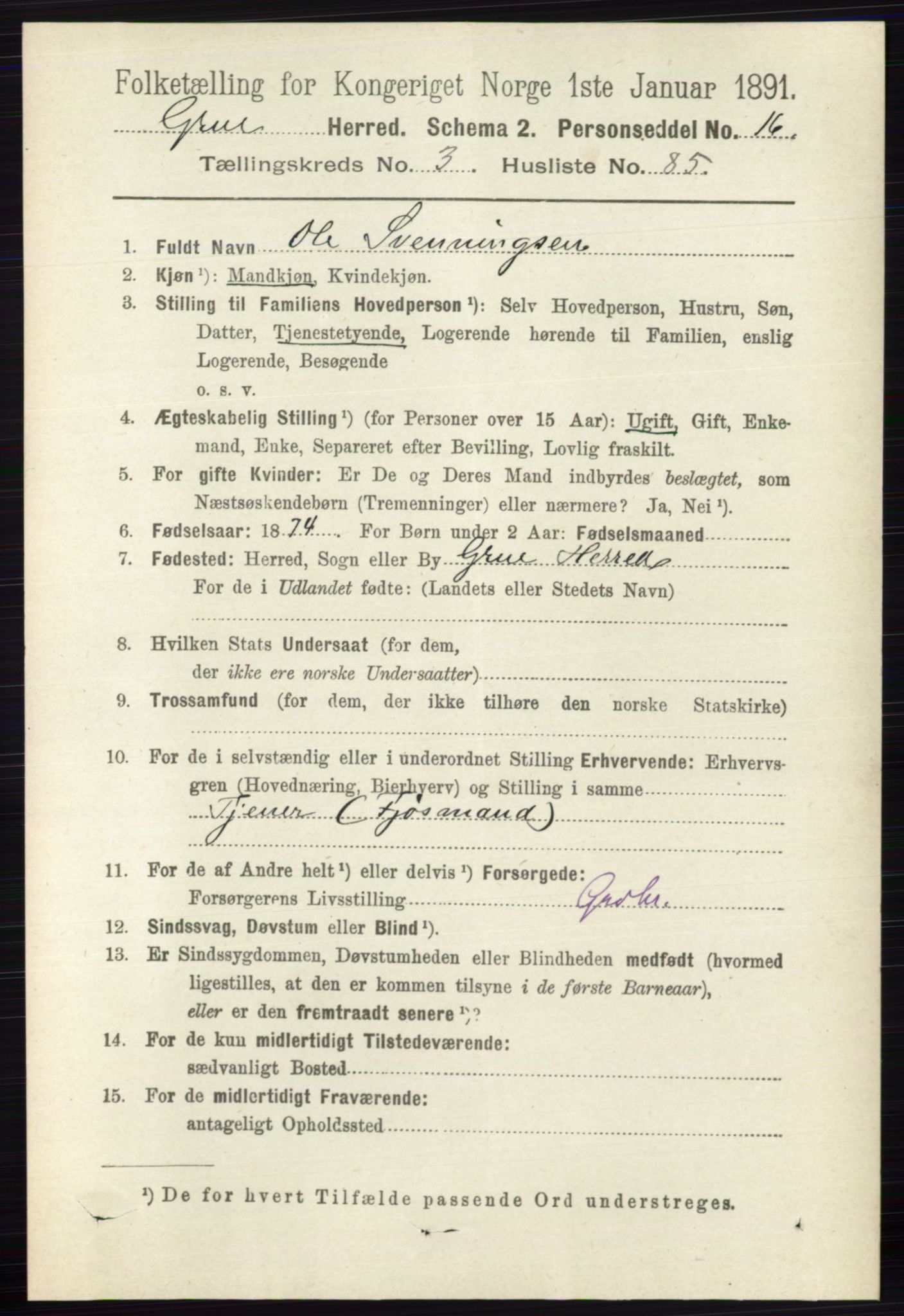 RA, 1891 census for 0423 Grue, 1891, p. 2007