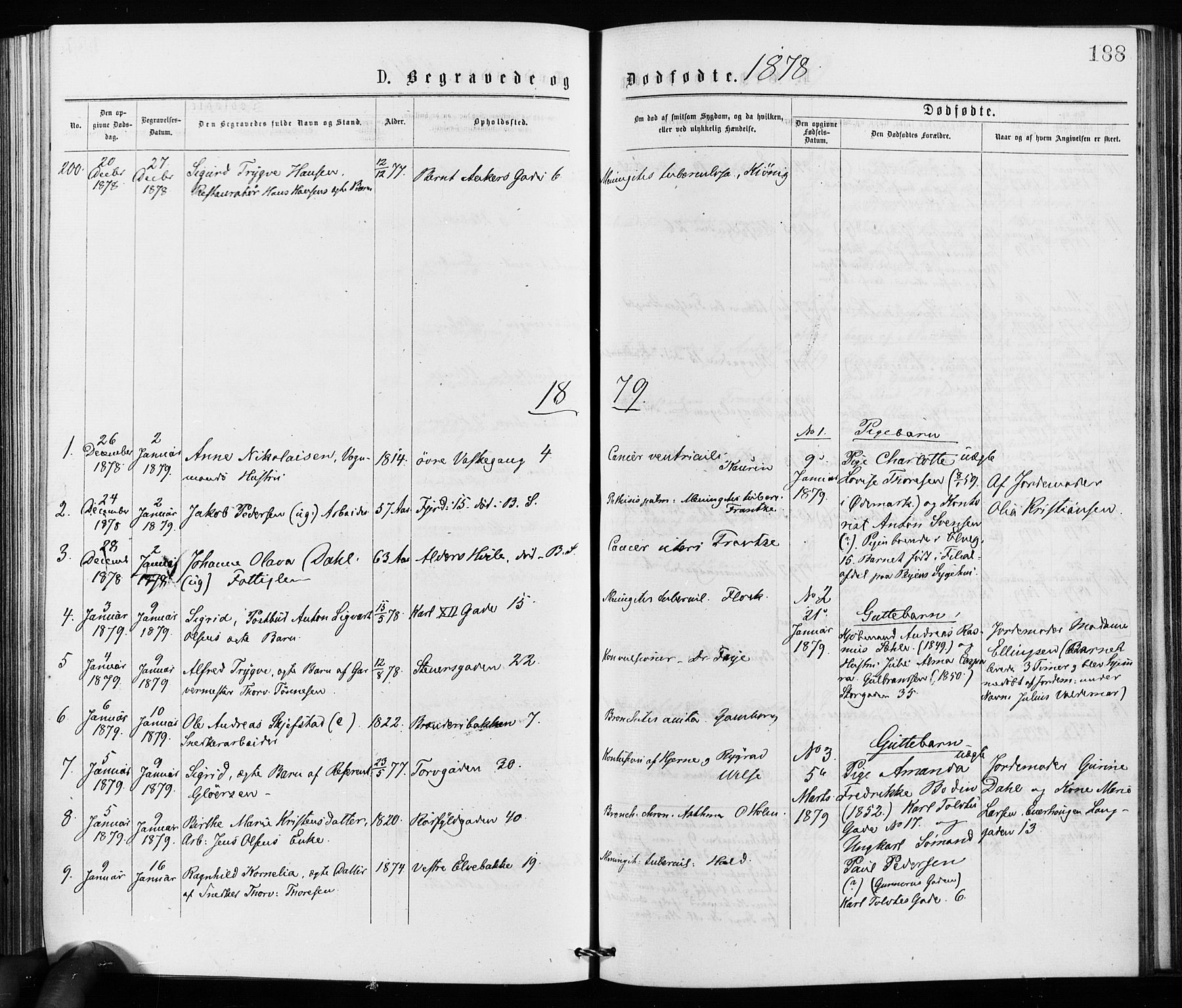 Jakob prestekontor Kirkebøker, SAO/A-10850/F/Fa/L0002: Parish register (official) no. 2, 1875-1879, p. 188