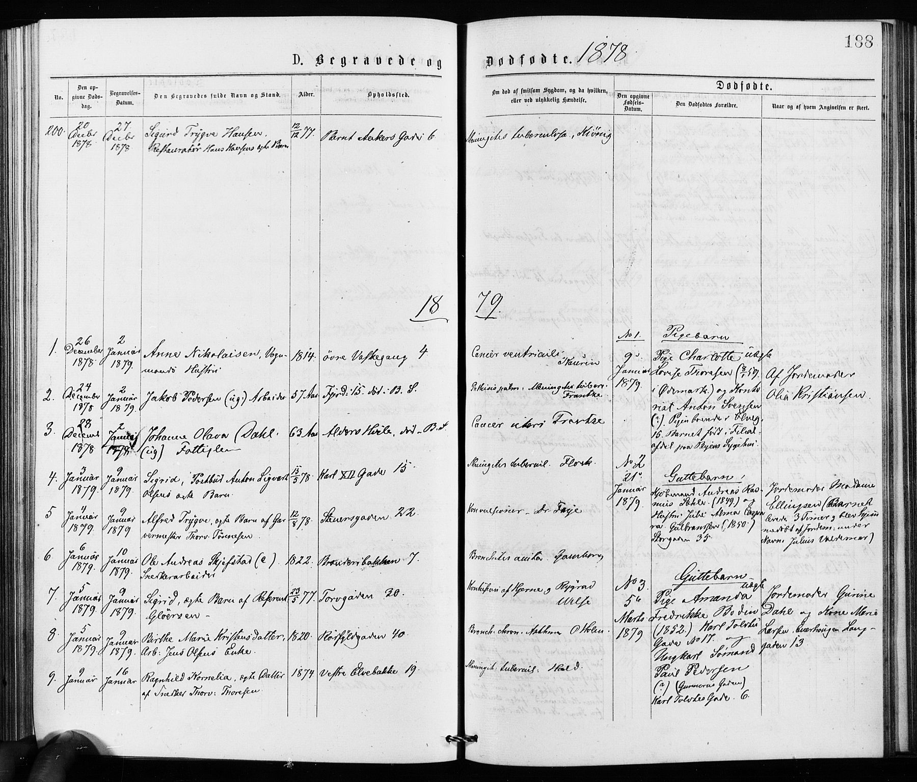 Jakob prestekontor Kirkebøker, AV/SAO-A-10850/F/Fa/L0002: Parish register (official) no. 2, 1875-1879, p. 188