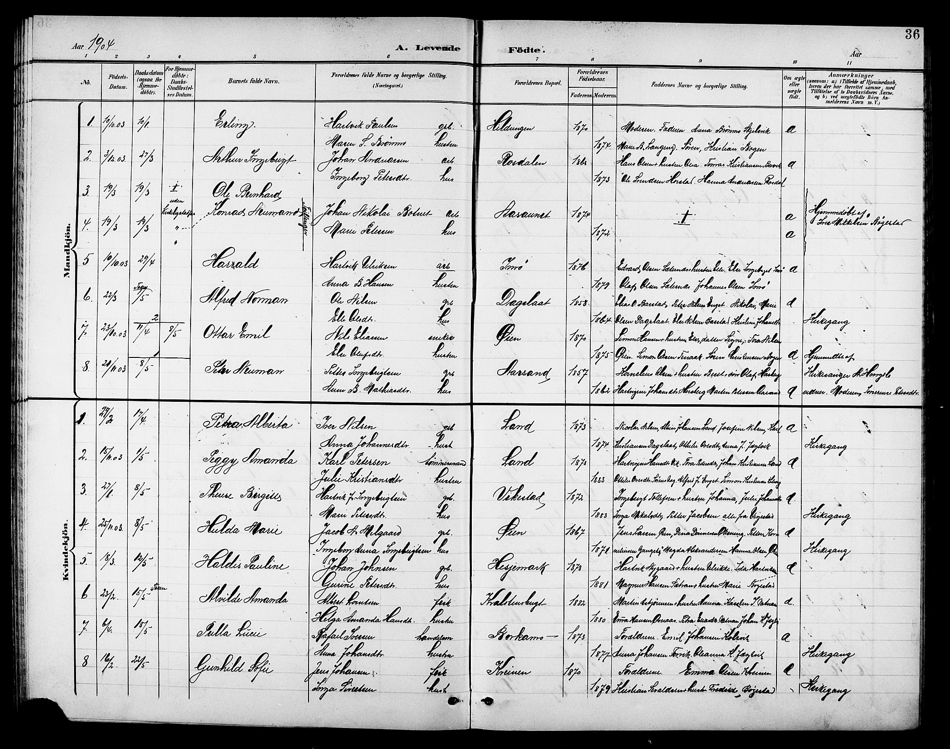 Ministerialprotokoller, klokkerbøker og fødselsregistre - Nordland, AV/SAT-A-1459/810/L0161: Parish register (copy) no. 810C04, 1897-1910, p. 36