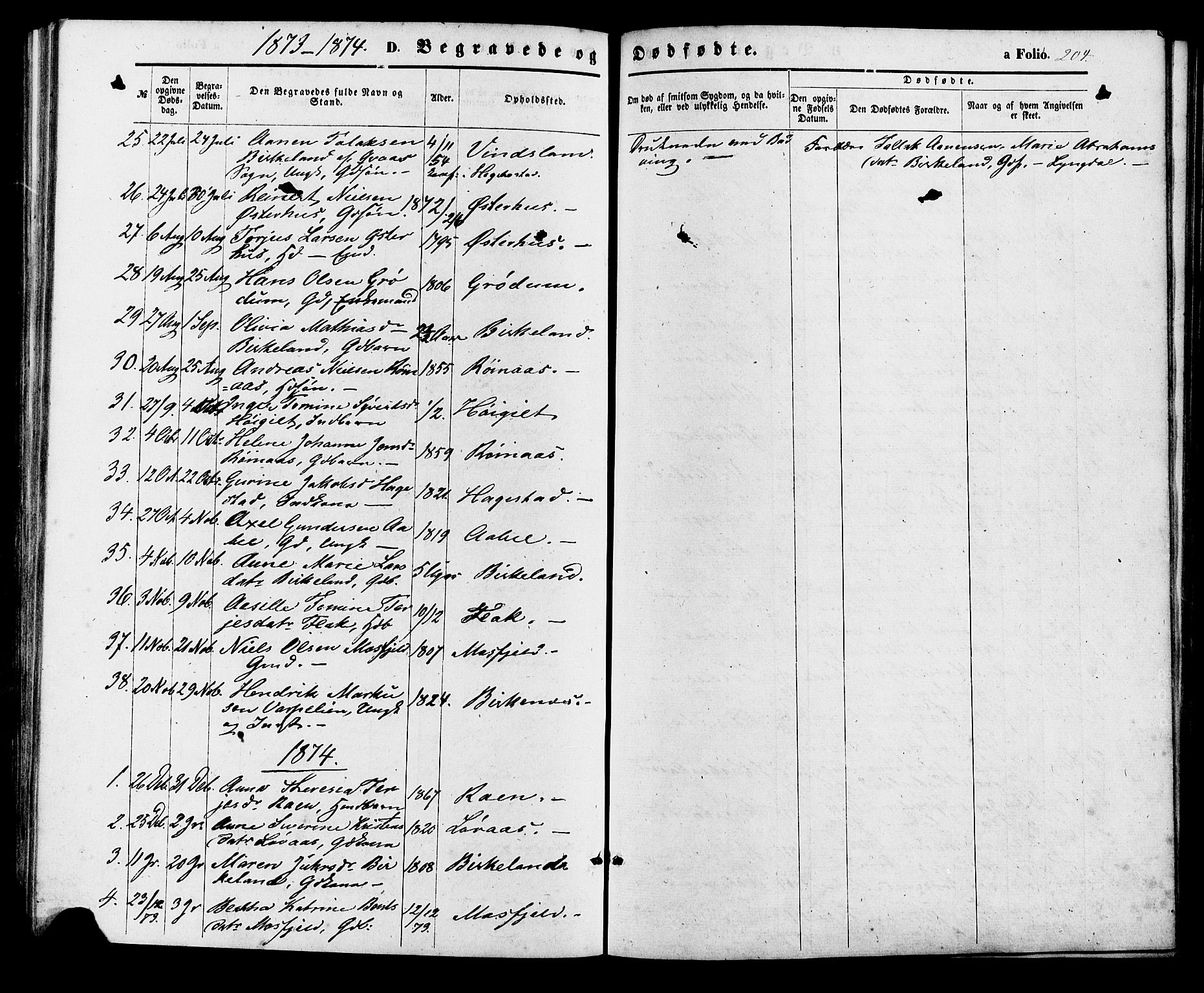 Birkenes sokneprestkontor, AV/SAK-1111-0004/F/Fa/L0004: Parish register (official) no. A 4, 1867-1886, p. 204