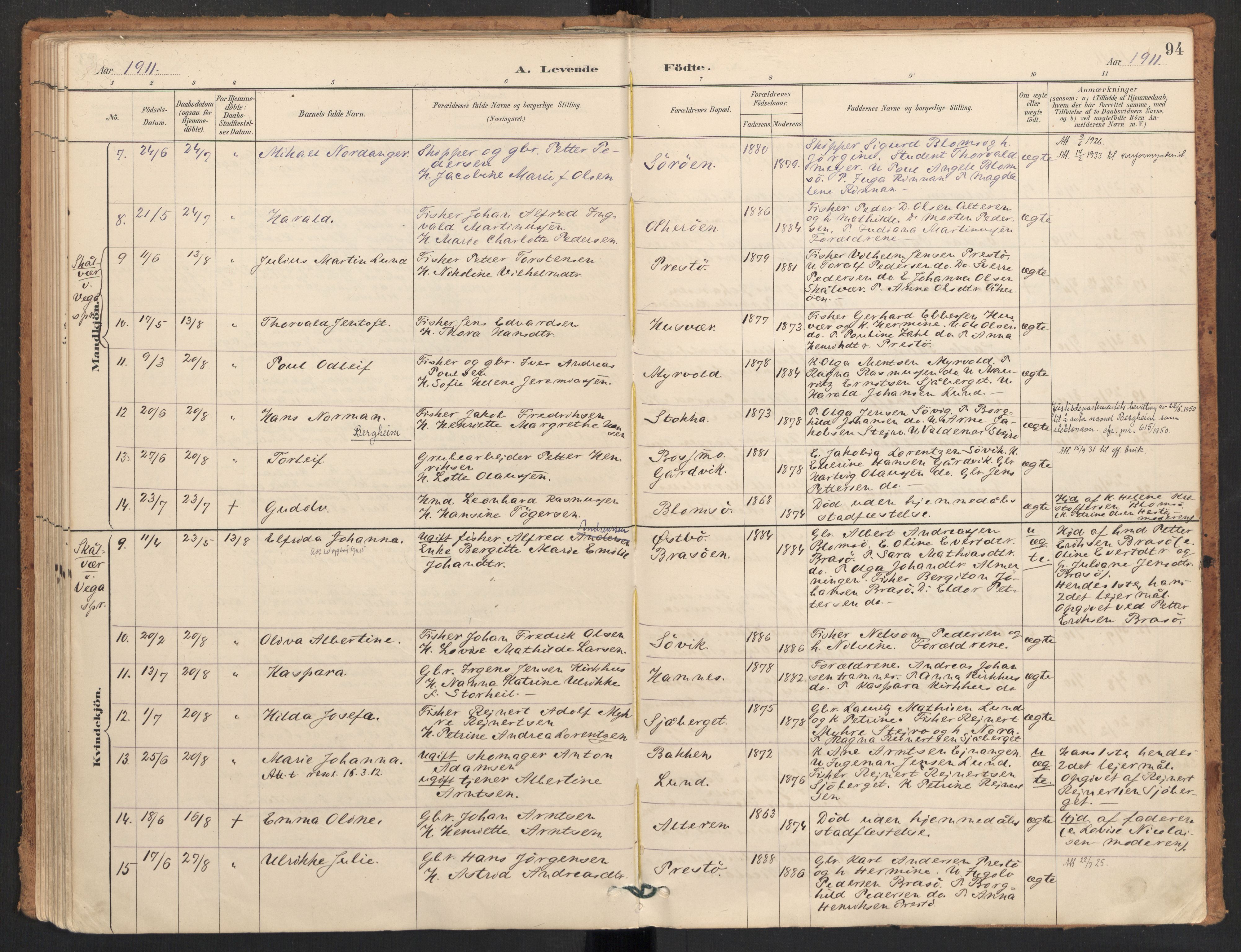 Ministerialprotokoller, klokkerbøker og fødselsregistre - Nordland, AV/SAT-A-1459/830/L0453: Parish register (official) no. 830A17, 1886-1911, p. 94