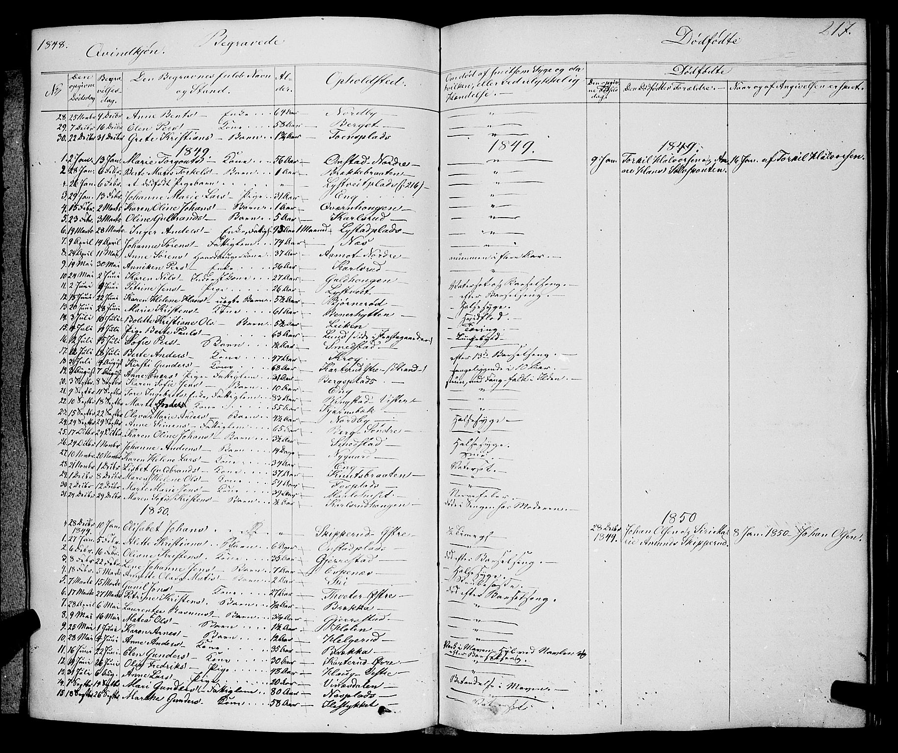 Skiptvet prestekontor Kirkebøker, AV/SAO-A-20009/F/Fa/L0006: Parish register (official) no. 6, 1839-1860, p. 217