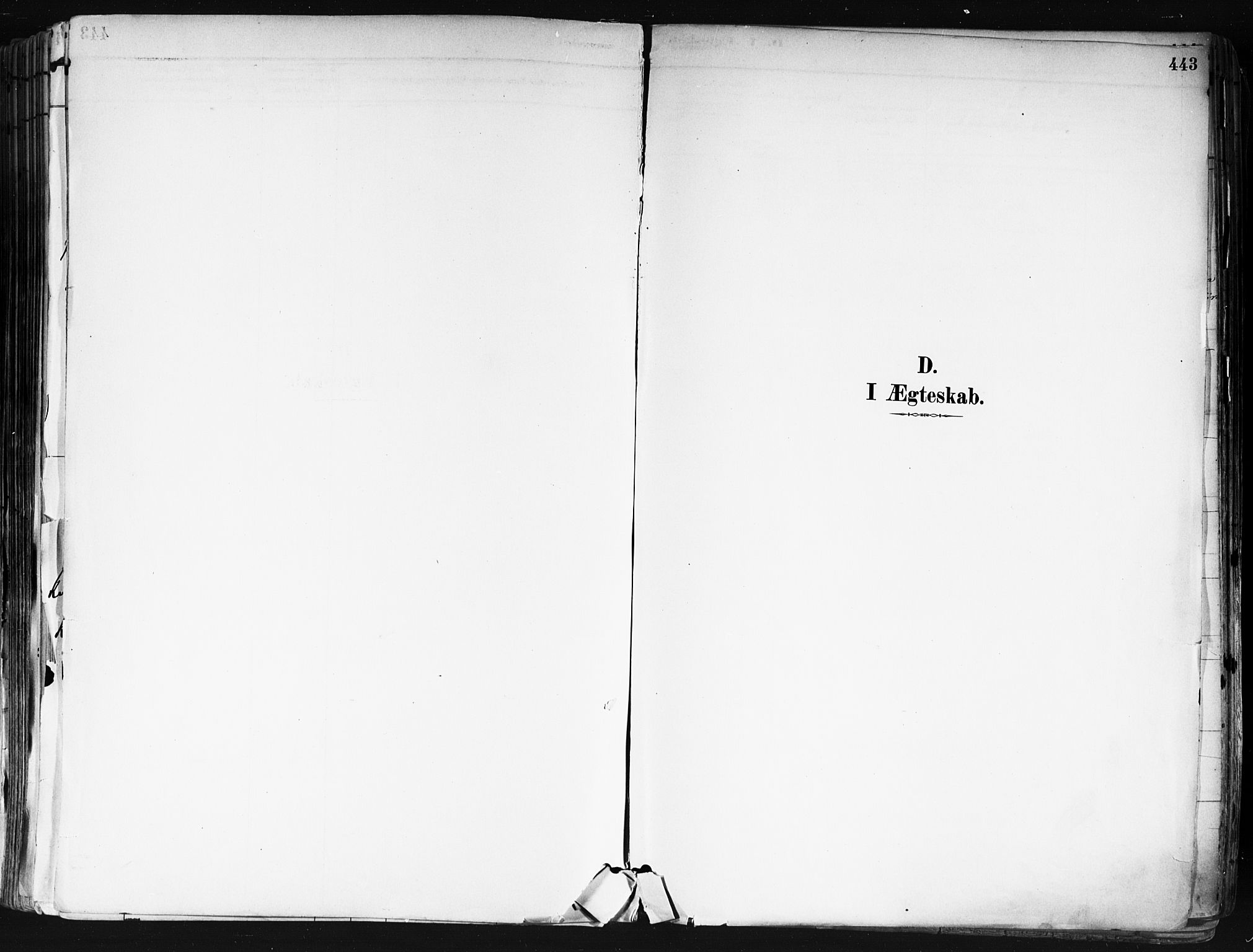 Nes prestekontor Kirkebøker, AV/SAO-A-10410/F/Fa/L0010: Parish register (official) no. I 10, 1883-1898, p. 443