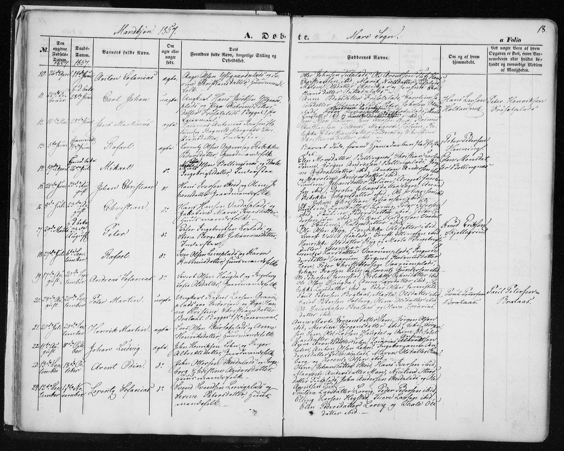 Ministerialprotokoller, klokkerbøker og fødselsregistre - Nord-Trøndelag, SAT/A-1458/735/L0342: Parish register (official) no. 735A07 /1, 1849-1862, p. 18
