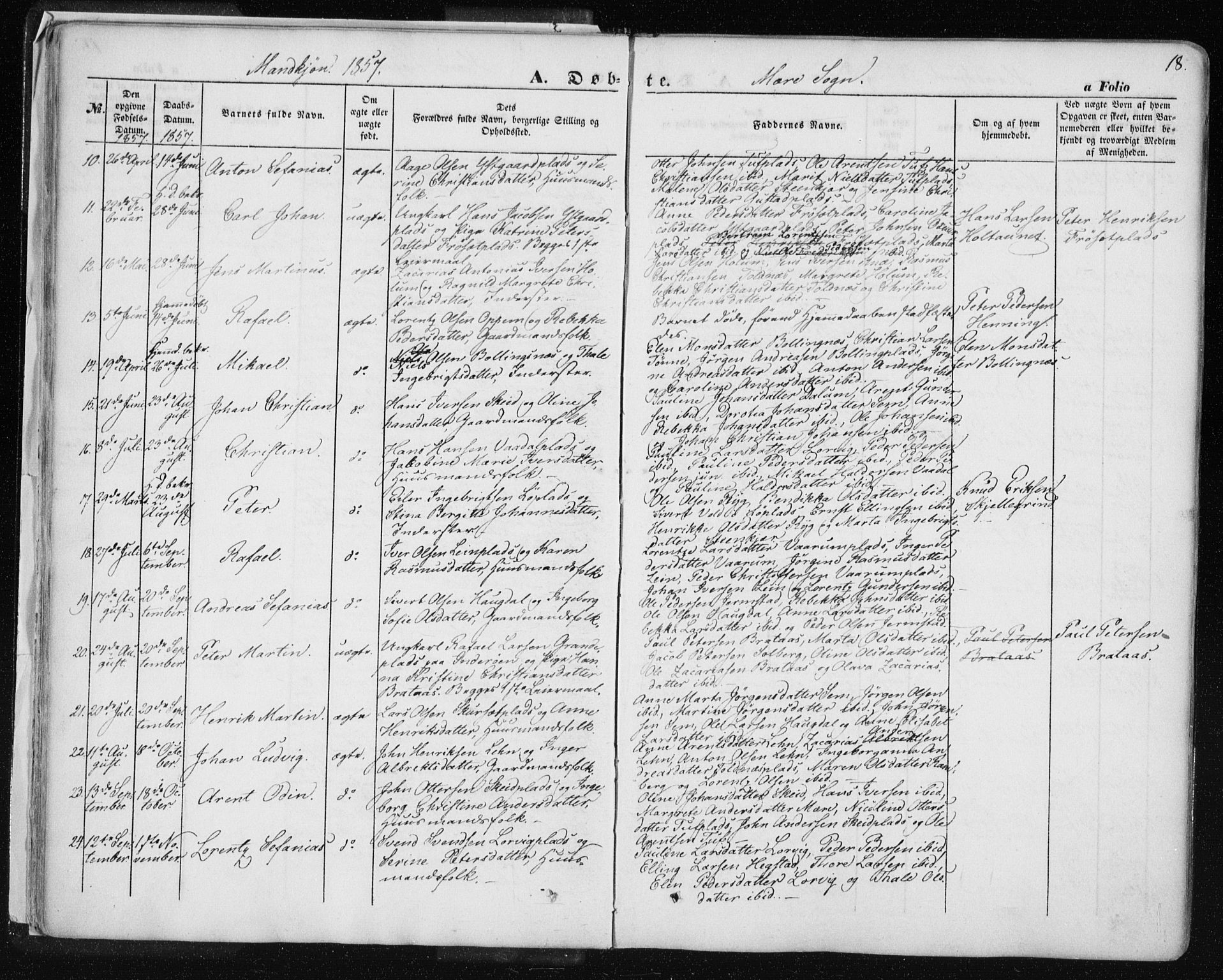 Ministerialprotokoller, klokkerbøker og fødselsregistre - Nord-Trøndelag, AV/SAT-A-1458/735/L0342: Parish register (official) no. 735A07 /1, 1849-1862, p. 18