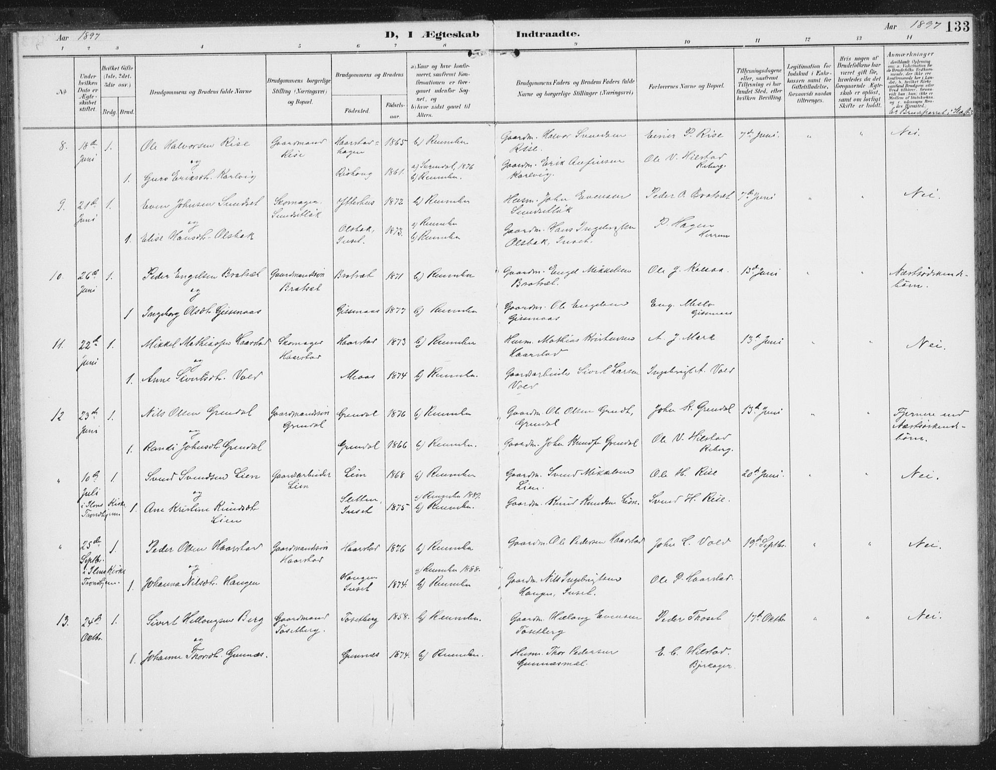 Ministerialprotokoller, klokkerbøker og fødselsregistre - Sør-Trøndelag, SAT/A-1456/674/L0872: Parish register (official) no. 674A04, 1897-1907, p. 133
